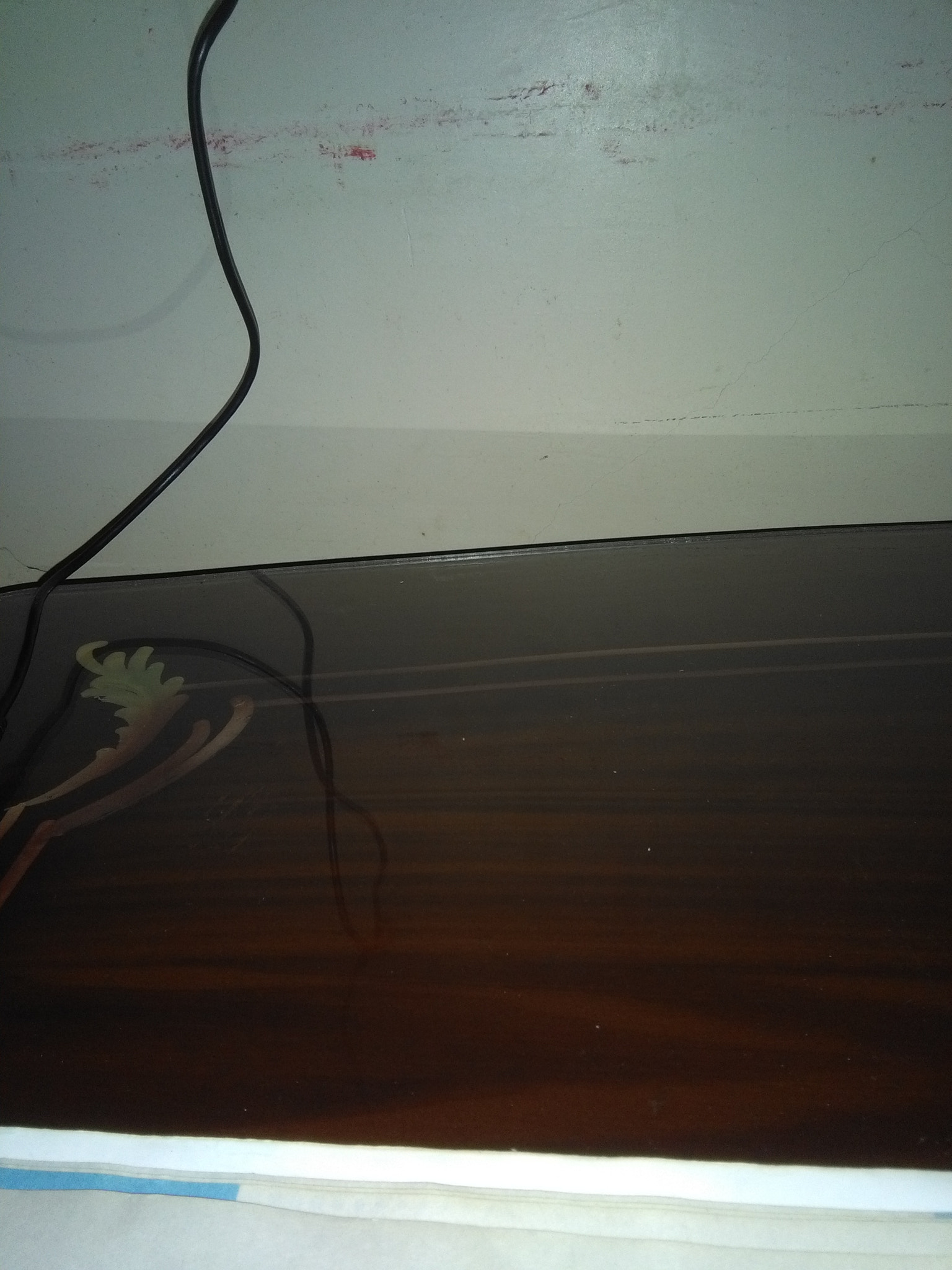 HUAWEI Y6 sample photo