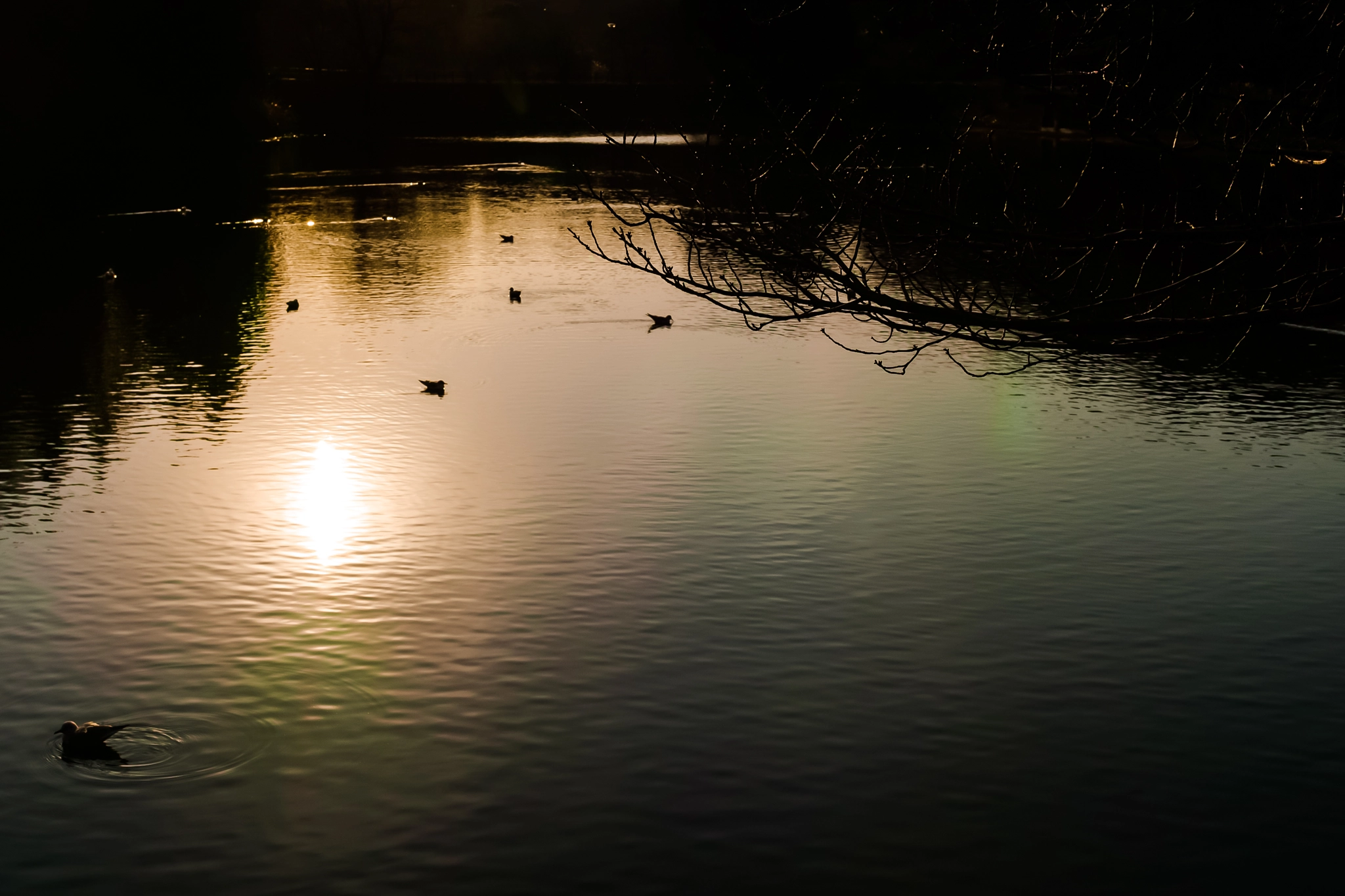 Sigma 35mm F1.4 DG HSM Art sample photo. Sun set photography