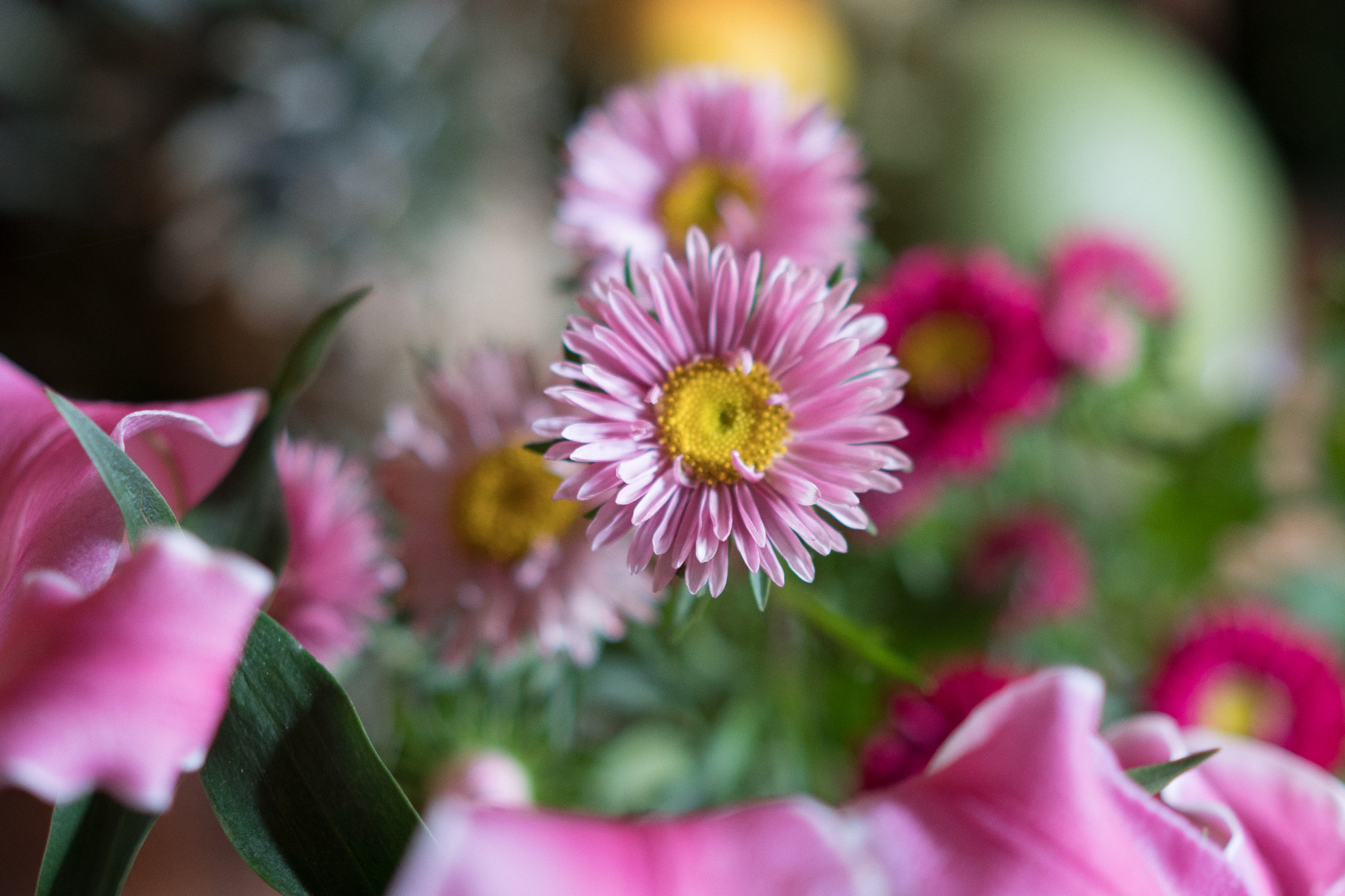 Sony a6500 + Sony Sonnar T* FE 55mm F1.8 ZA sample photo. Flower in vietnam lunar new year photography