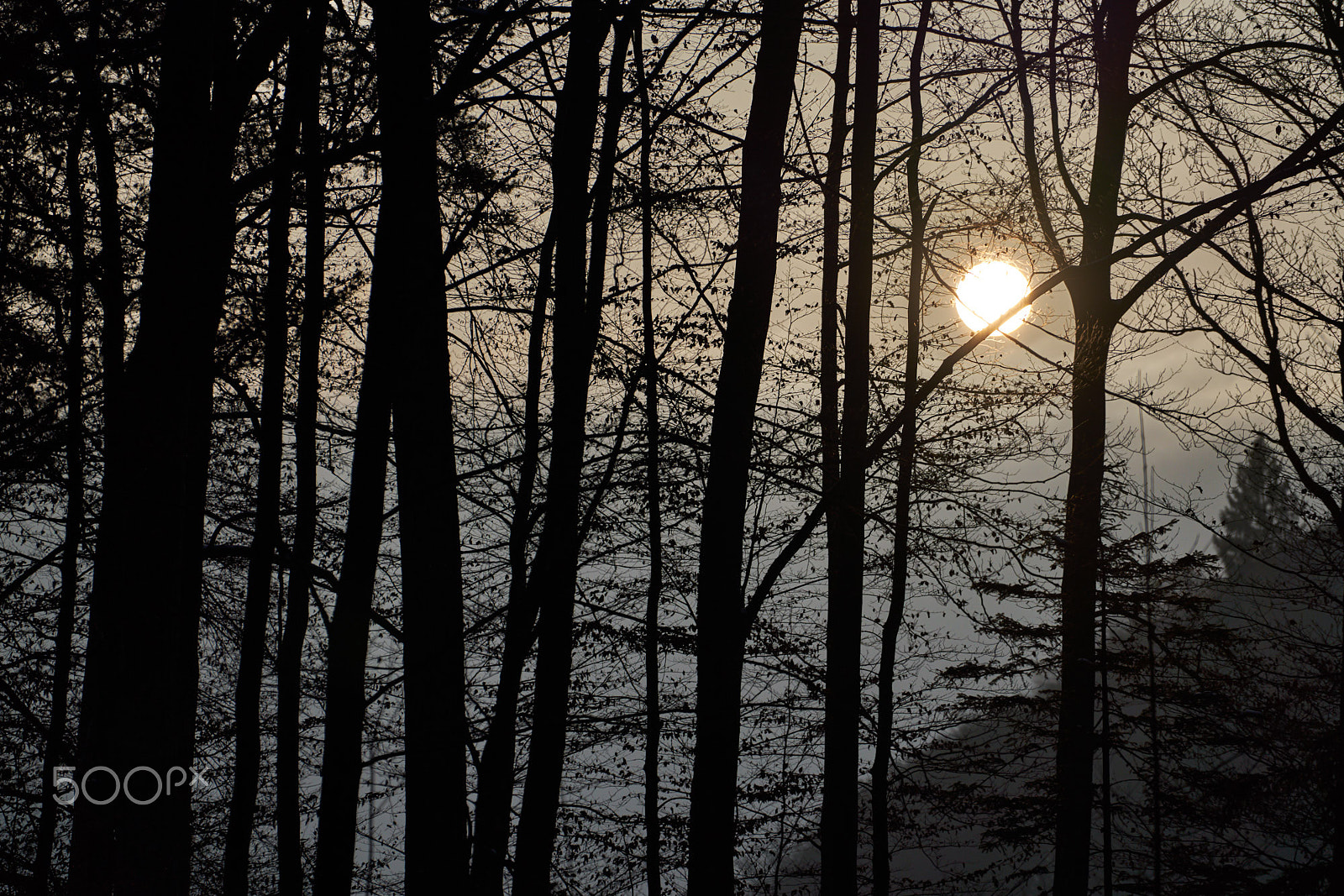 Sony FE 70-200mm F4 G OSS sample photo. Sunset in the "pleerwald" photography