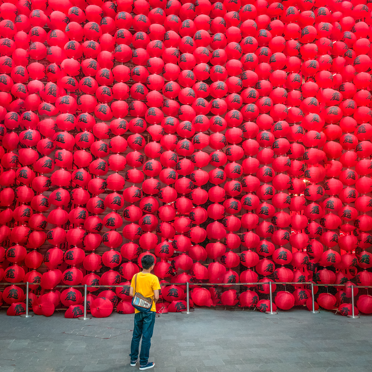 Nikon D300S sample photo. Chinese new year photography