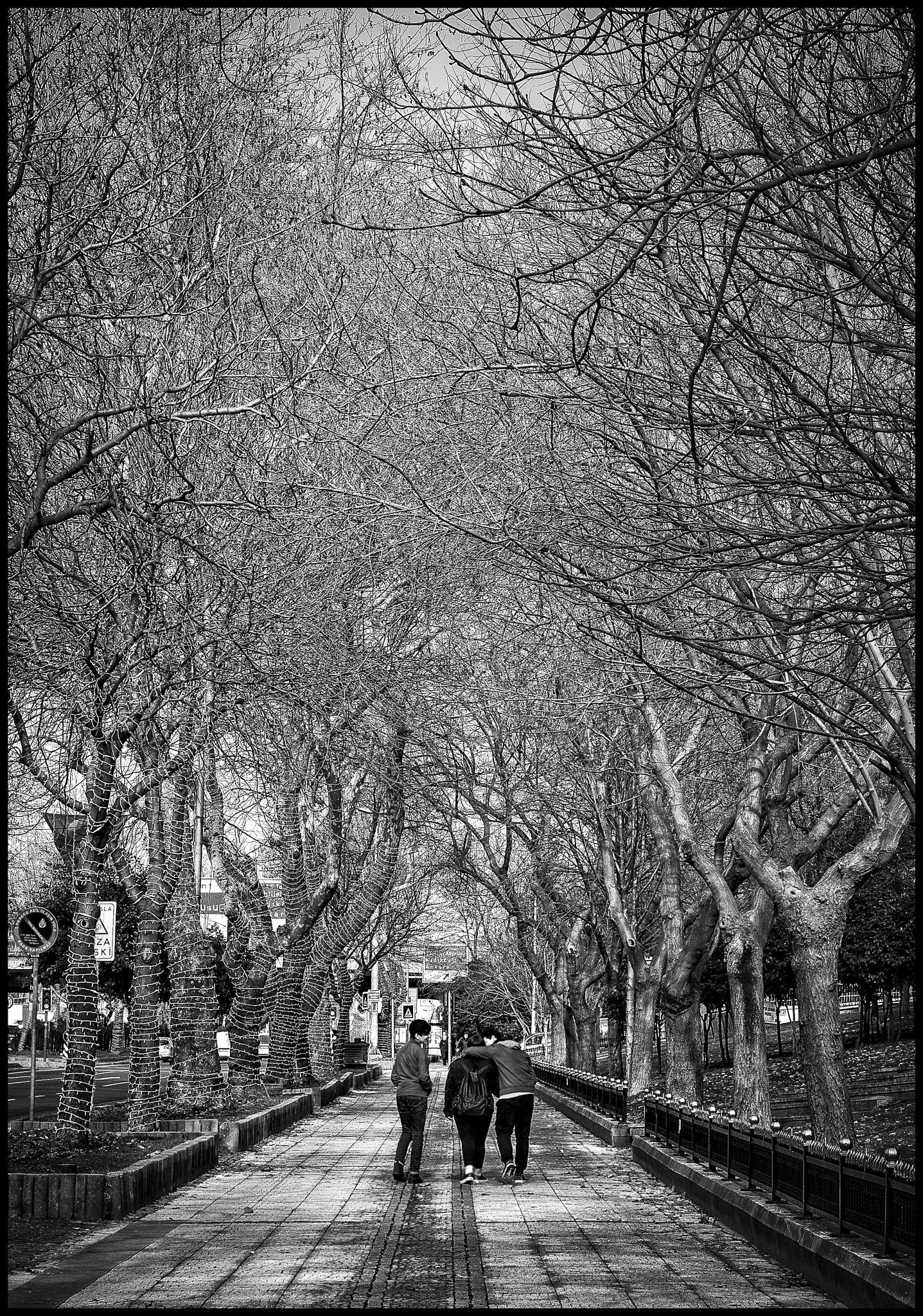 Leica Noctilux-M 50mm F0.95 ASPH sample photo. Friends in the corridor of trees... photography
