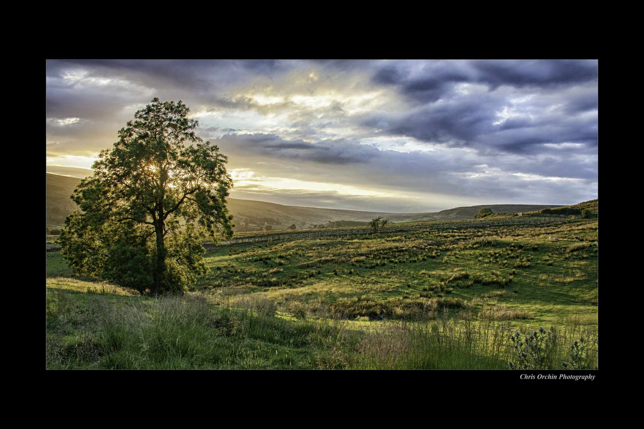 Sigma 18-125mm F3.8-5.6 DC OS HSM sample photo. Midsummer on rosedale photography