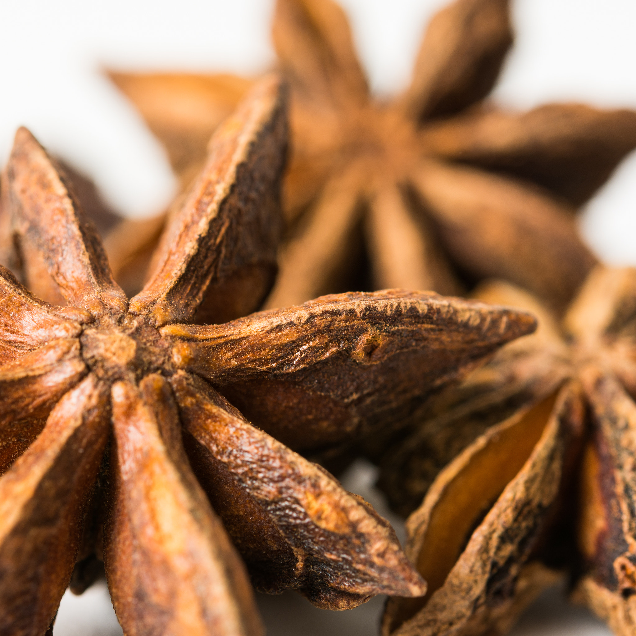 Nikon AF-S Micro-Nikkor 60mm F2.8G ED sample photo. Star anise photography
