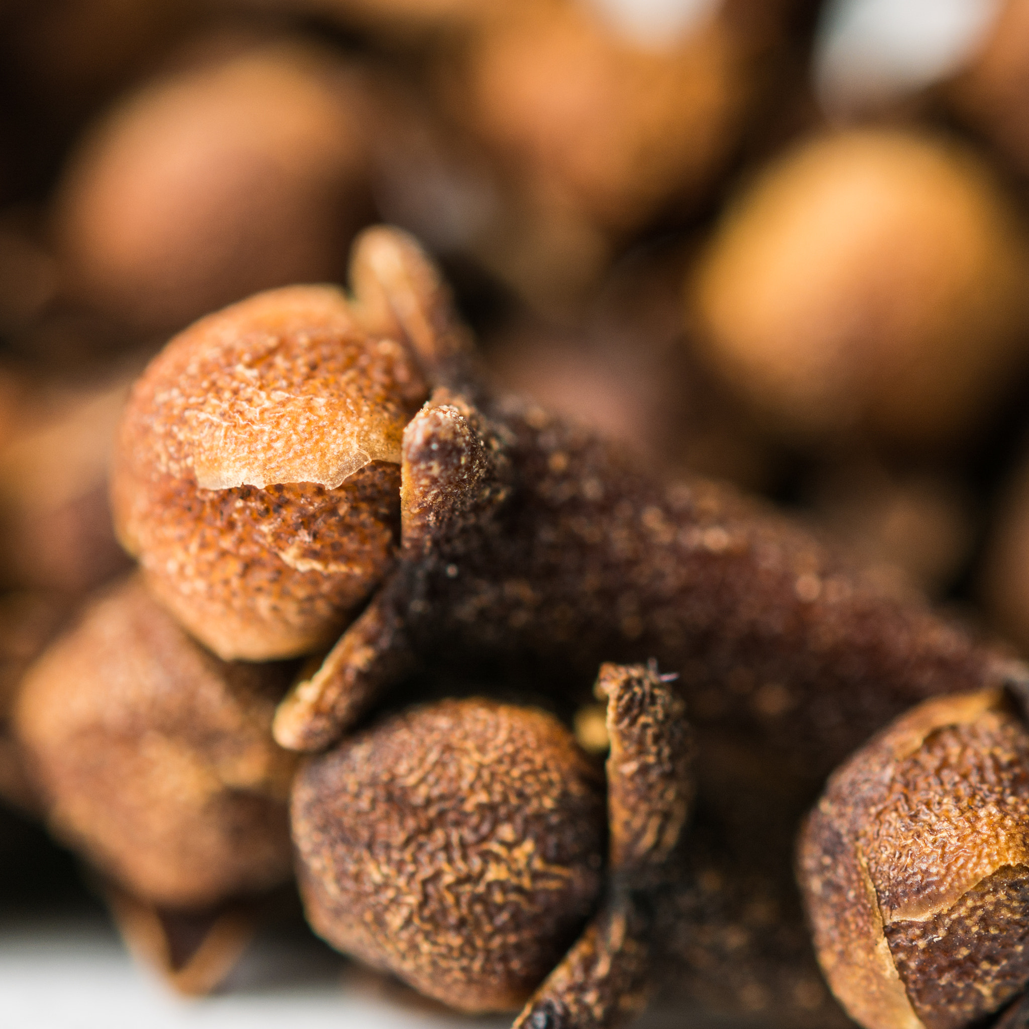 Nikon AF-S Micro-Nikkor 60mm F2.8G ED sample photo. Clove photography