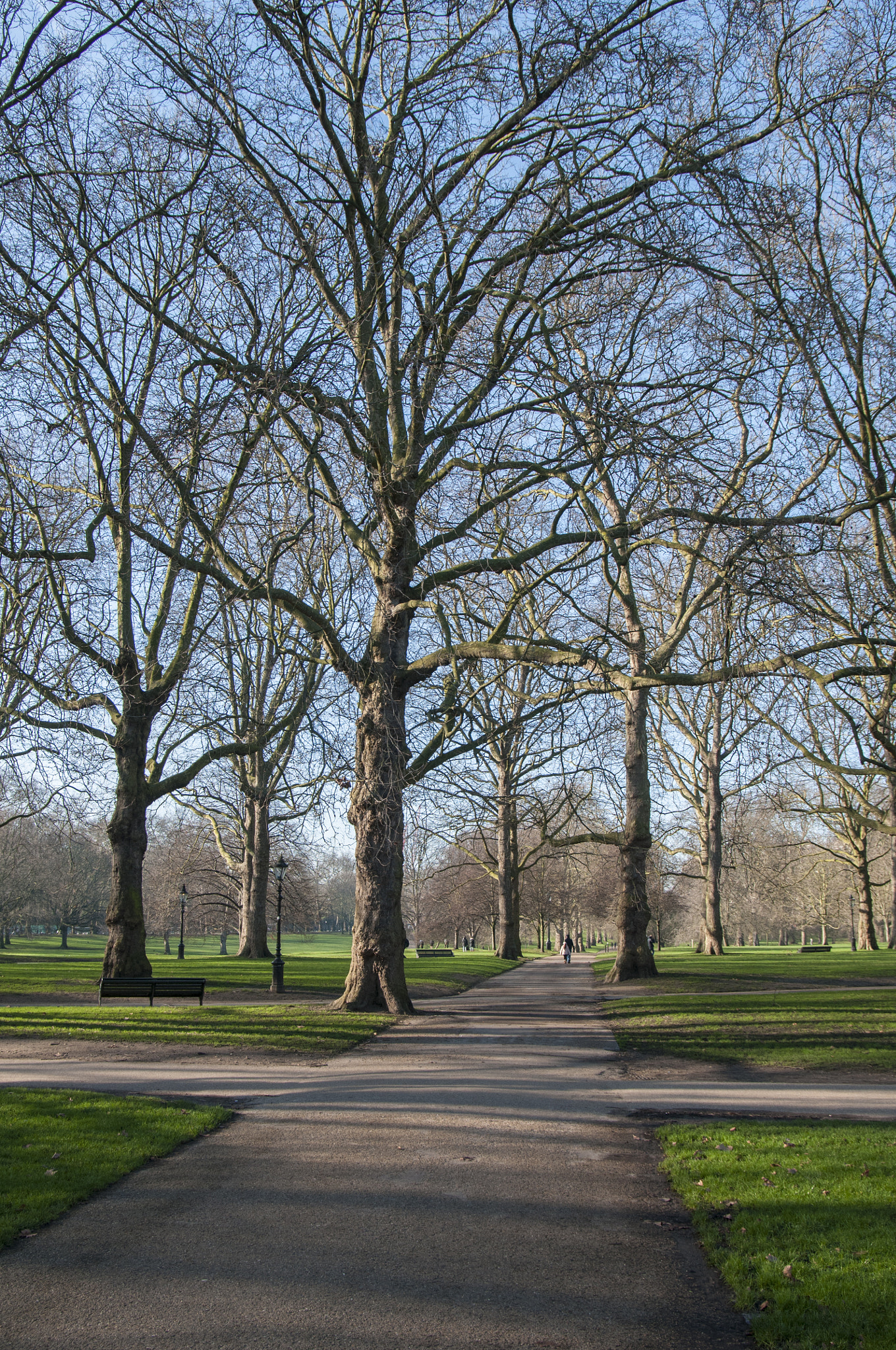 Nikon D300S sample photo. England park photography