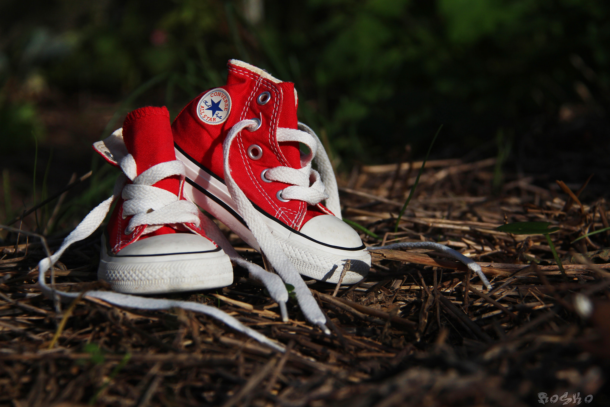 Canon EF-S 18-200mm F3.5-5.6 IS sample photo. Scarpine photography