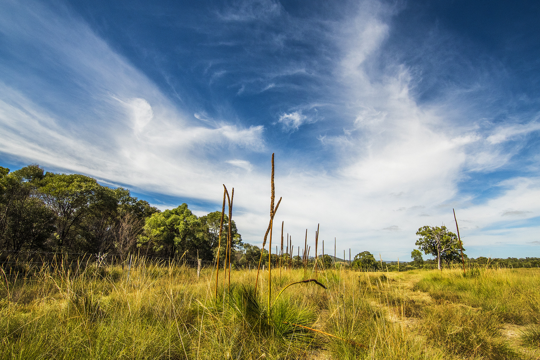 Nikon D810 sample photo. Australian summer landscape photography