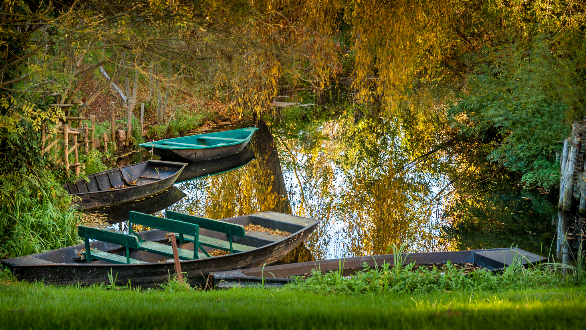 Canon EOS 50D + Sigma 17-70mm F2.8-4 DC Macro OS HSM sample photo. Au coeur du marais poitevin photography