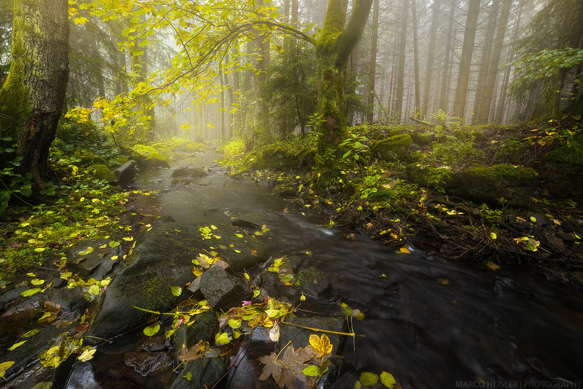 Samyang 14mm F2.8 ED AS IF UMC sample photo. Beside the stream photography