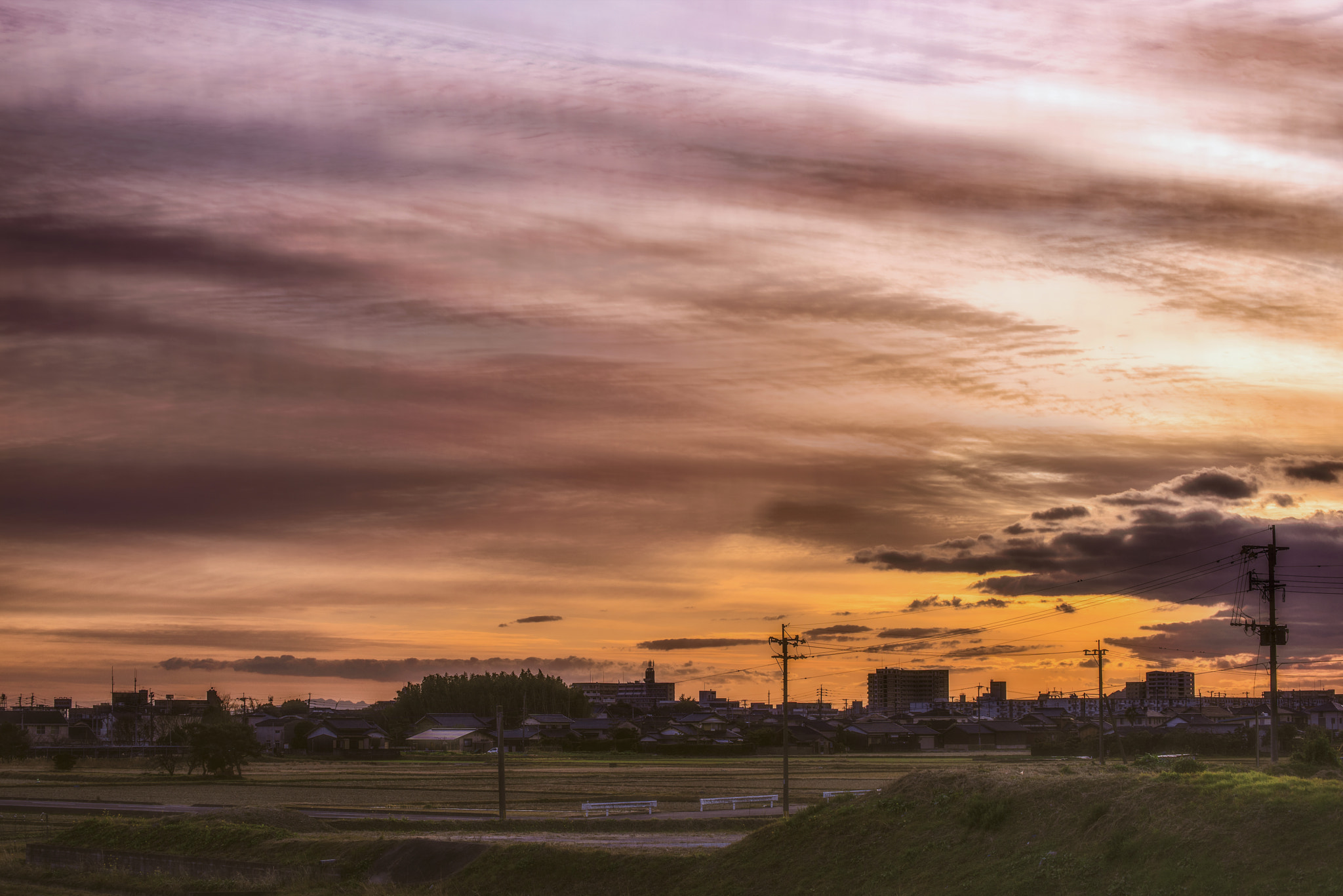 Nikon D810 sample photo. Colors photography