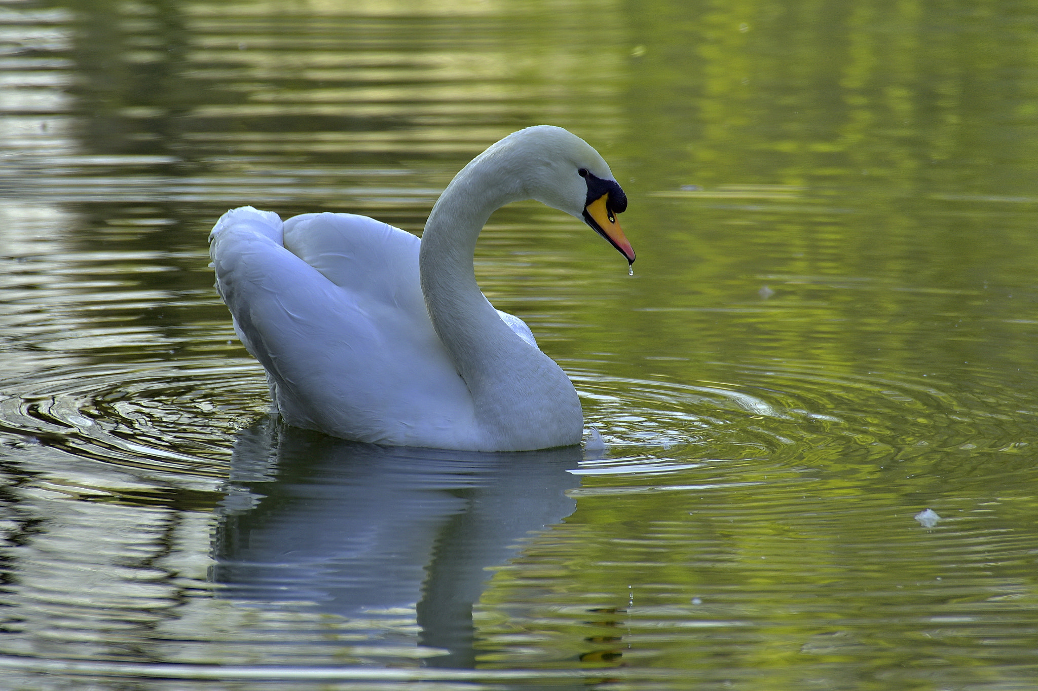 Nikon D810 sample photo
