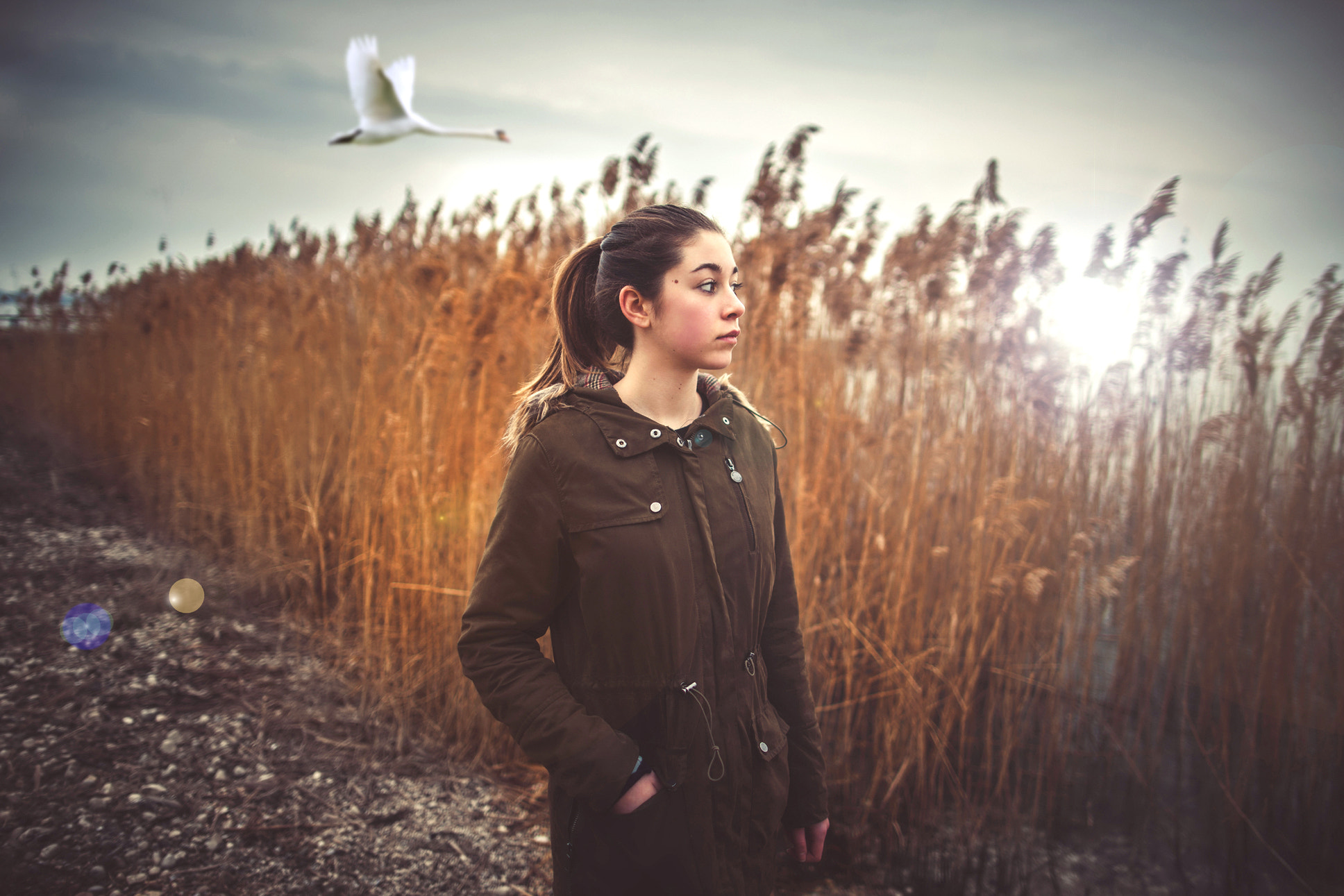 Canon EF 24mm F1.4L II USM sample photo. Sff photography