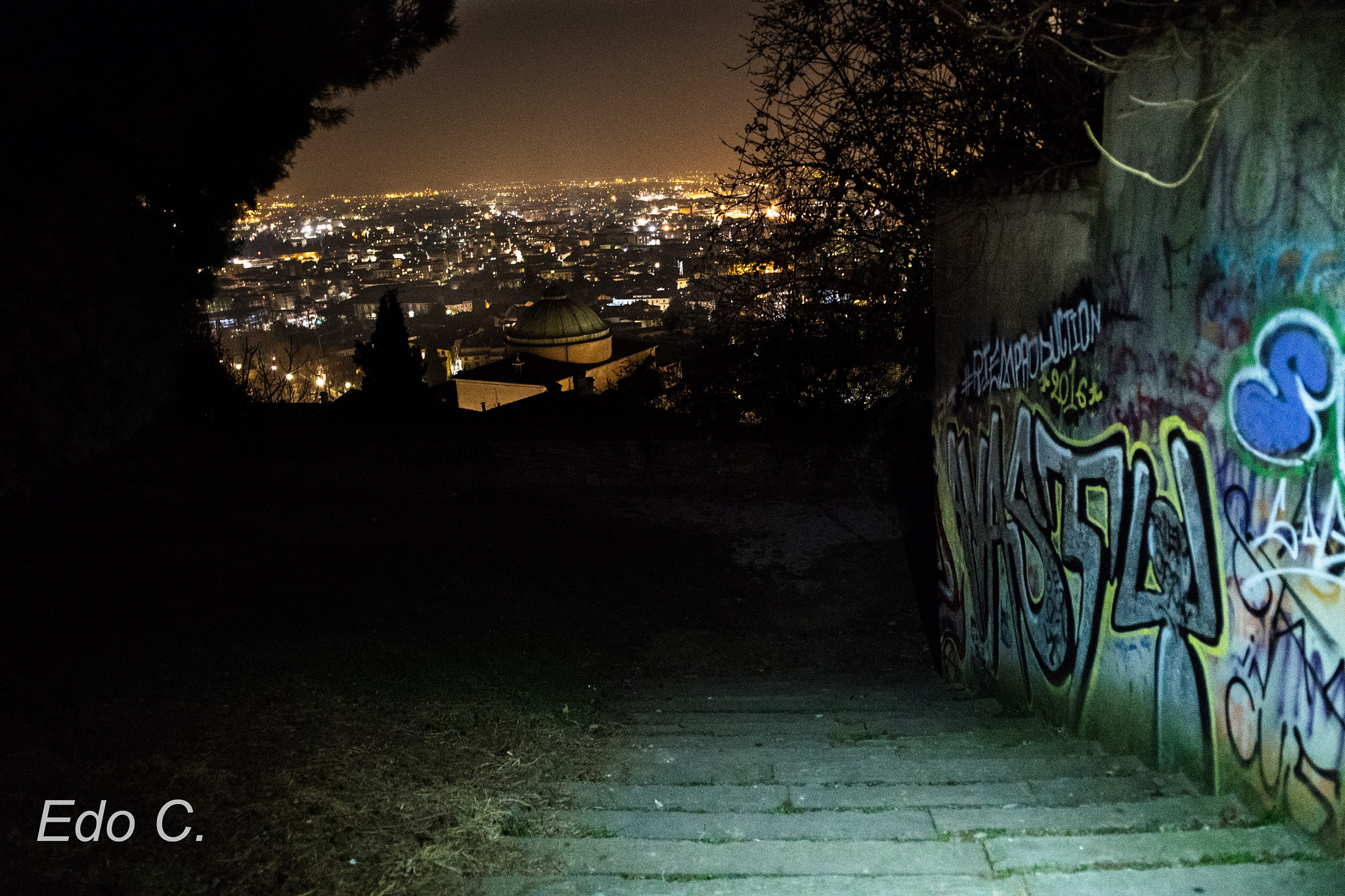 Nikon D500 sample photo. Stairway to berghem. photography