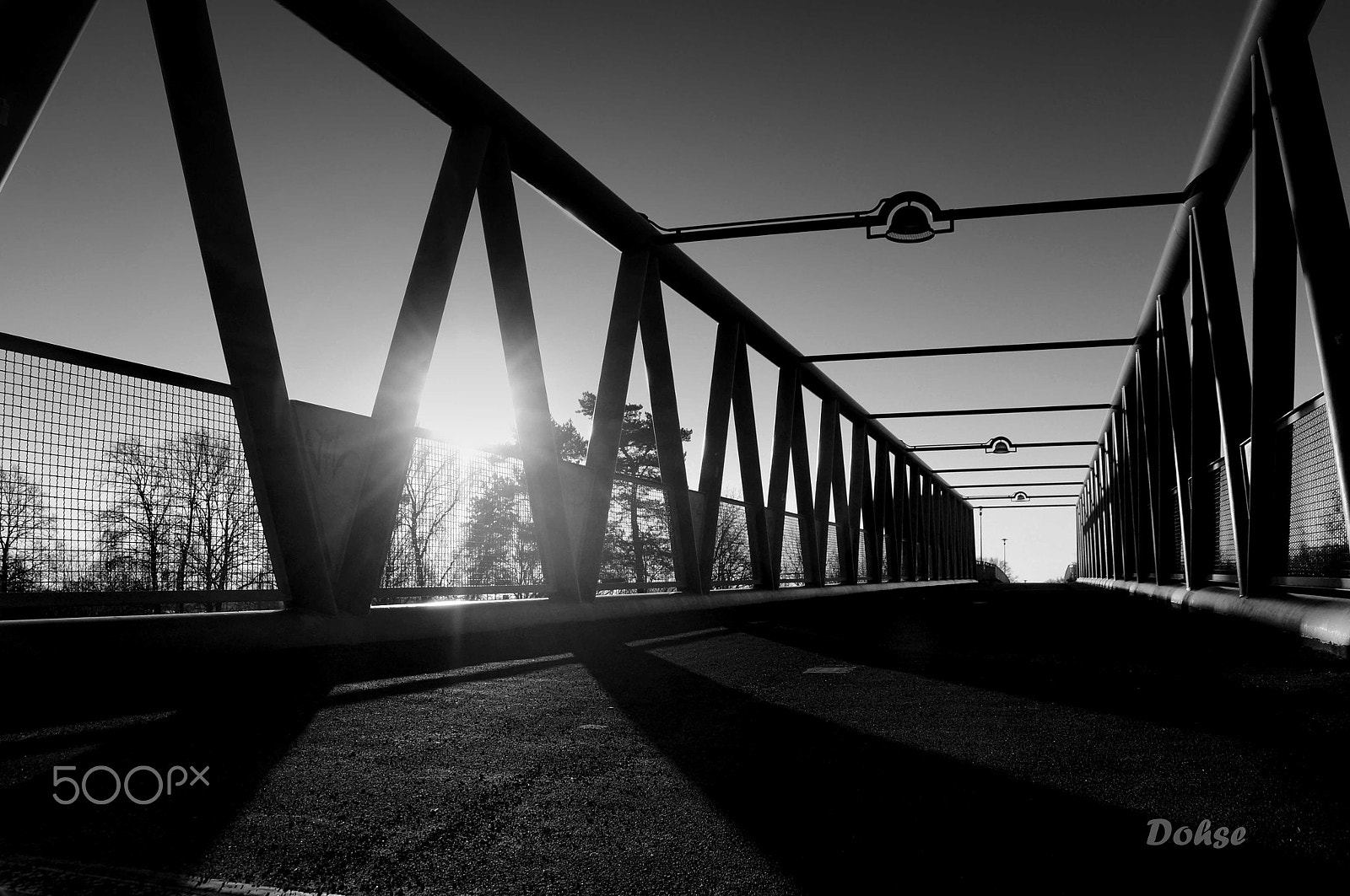 Sony SLT-A37 sample photo. Sunlight photography