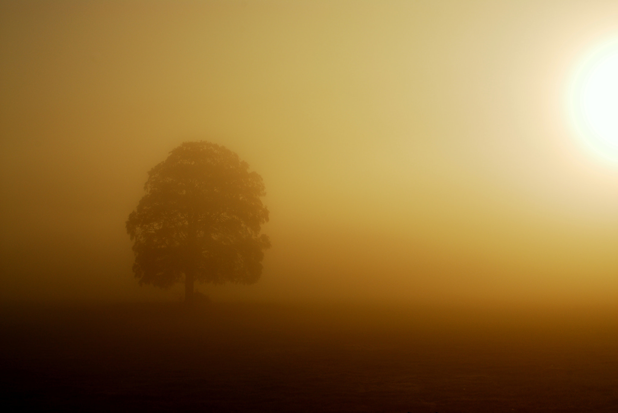 Nikon D200 + Nikon AF-S Nikkor 50mm F1.4G sample photo. Dawn, cheshire countryside,england photography