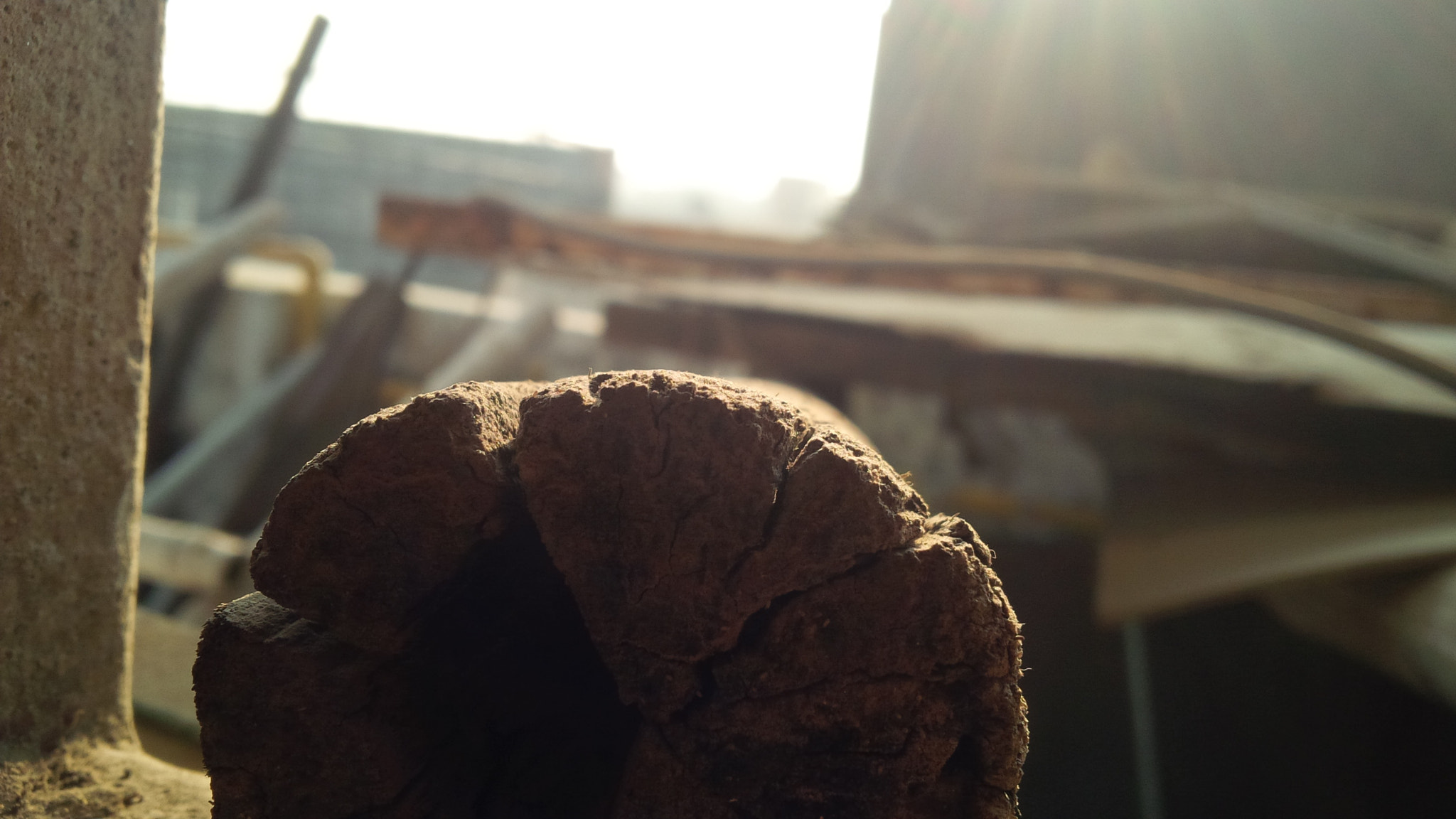 BlackBerry Z10 sample photo. Morning photography