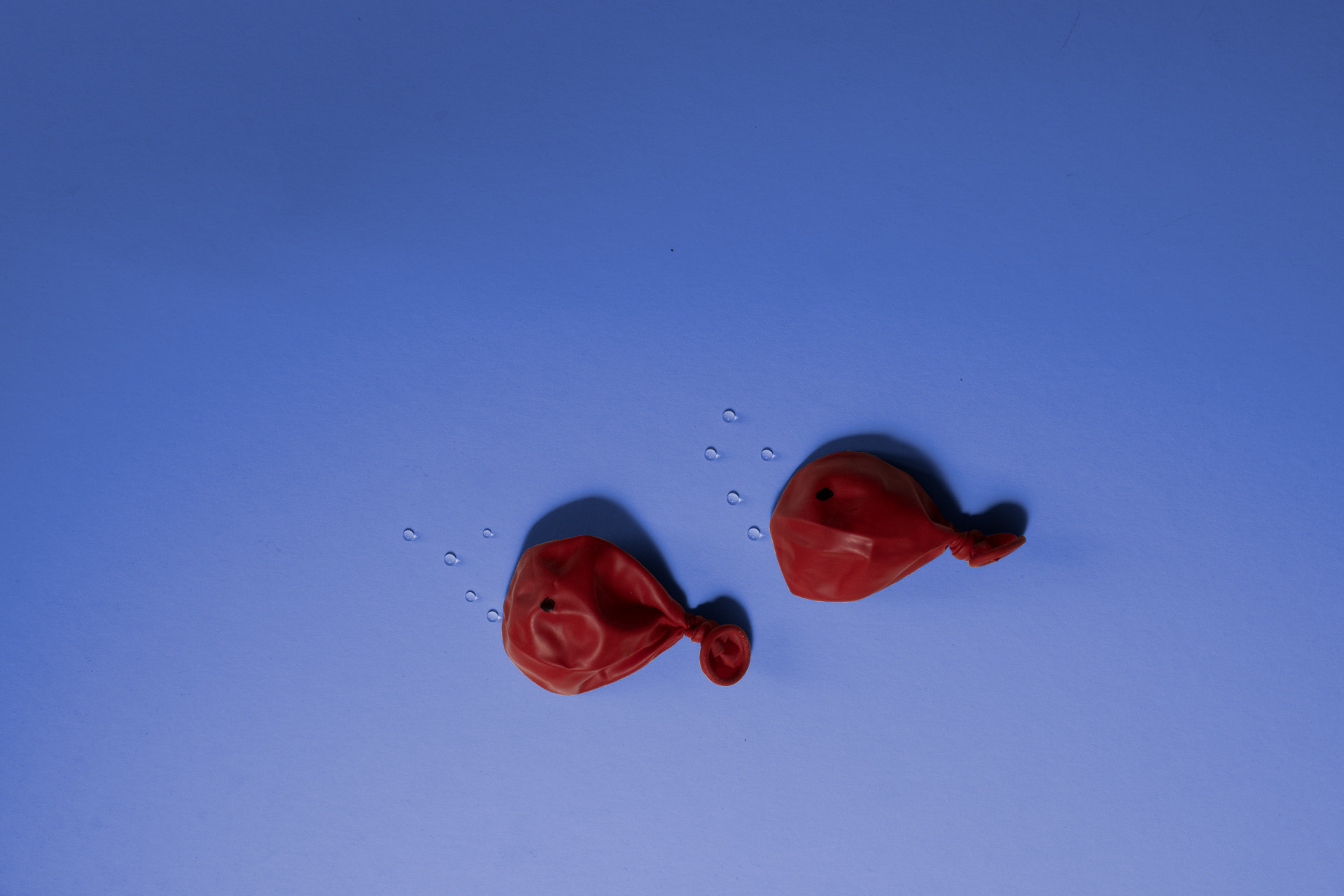 Nikon D500 + Nikon AF-S DX Nikkor 35mm F1.8G sample photo. My little fishy photography