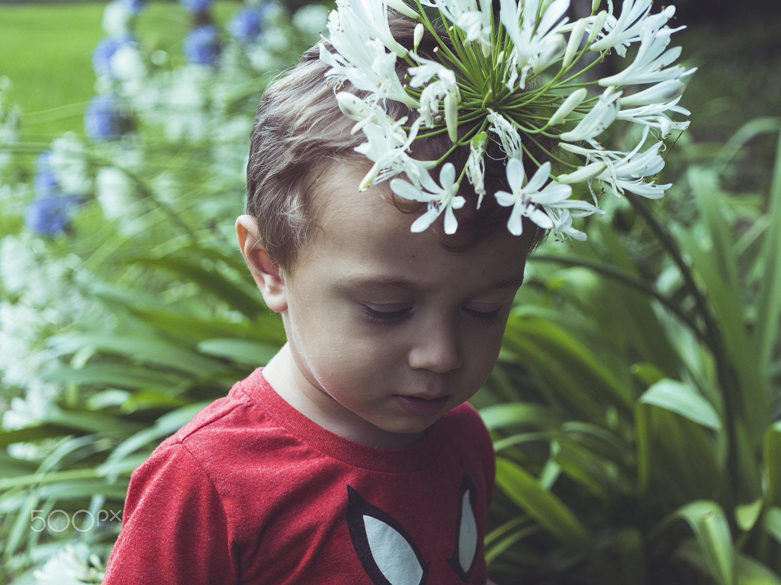 Olympus OM-D E-M10 II + Sigma 30mm F2.8 DN Art sample photo. Flower hat. photography