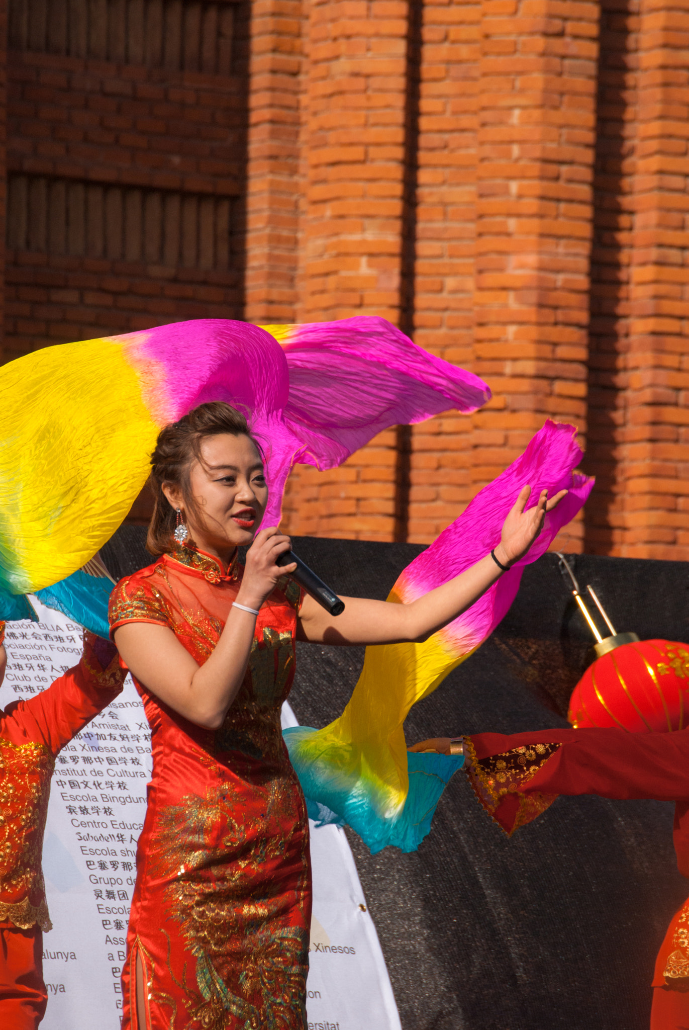Nikon D3000 sample photo. Chinese new year photography