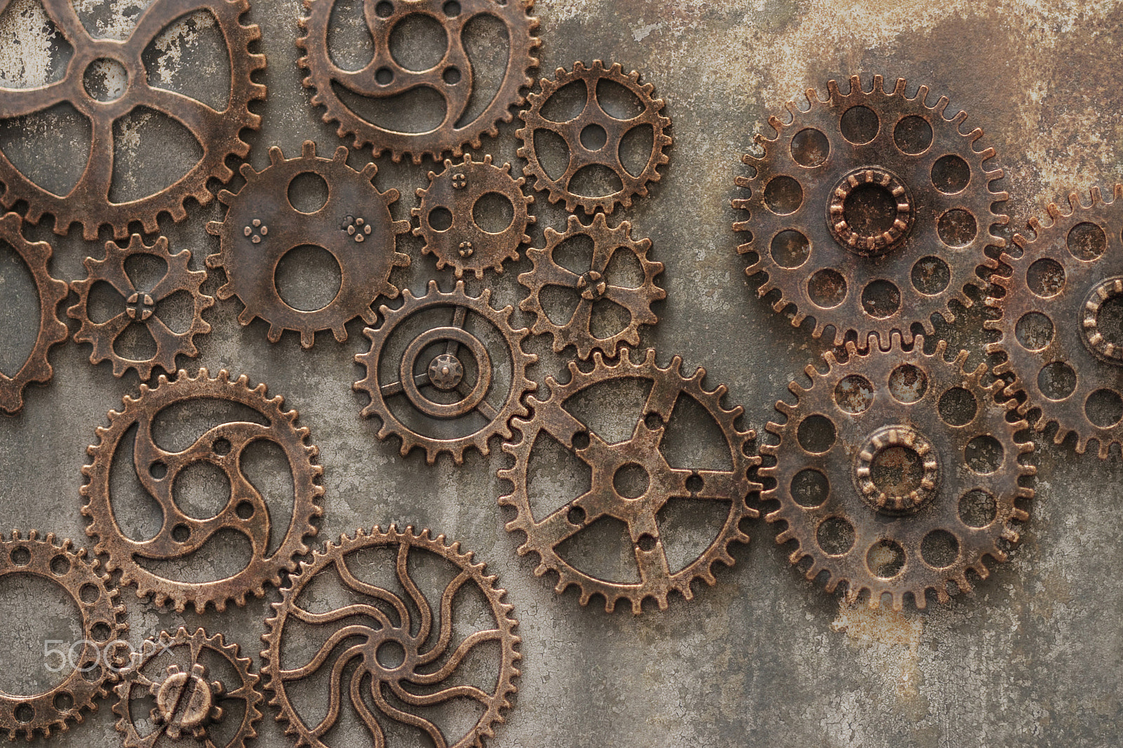 Canon EF 100mm F2.8 Macro USM sample photo. Old brain photography