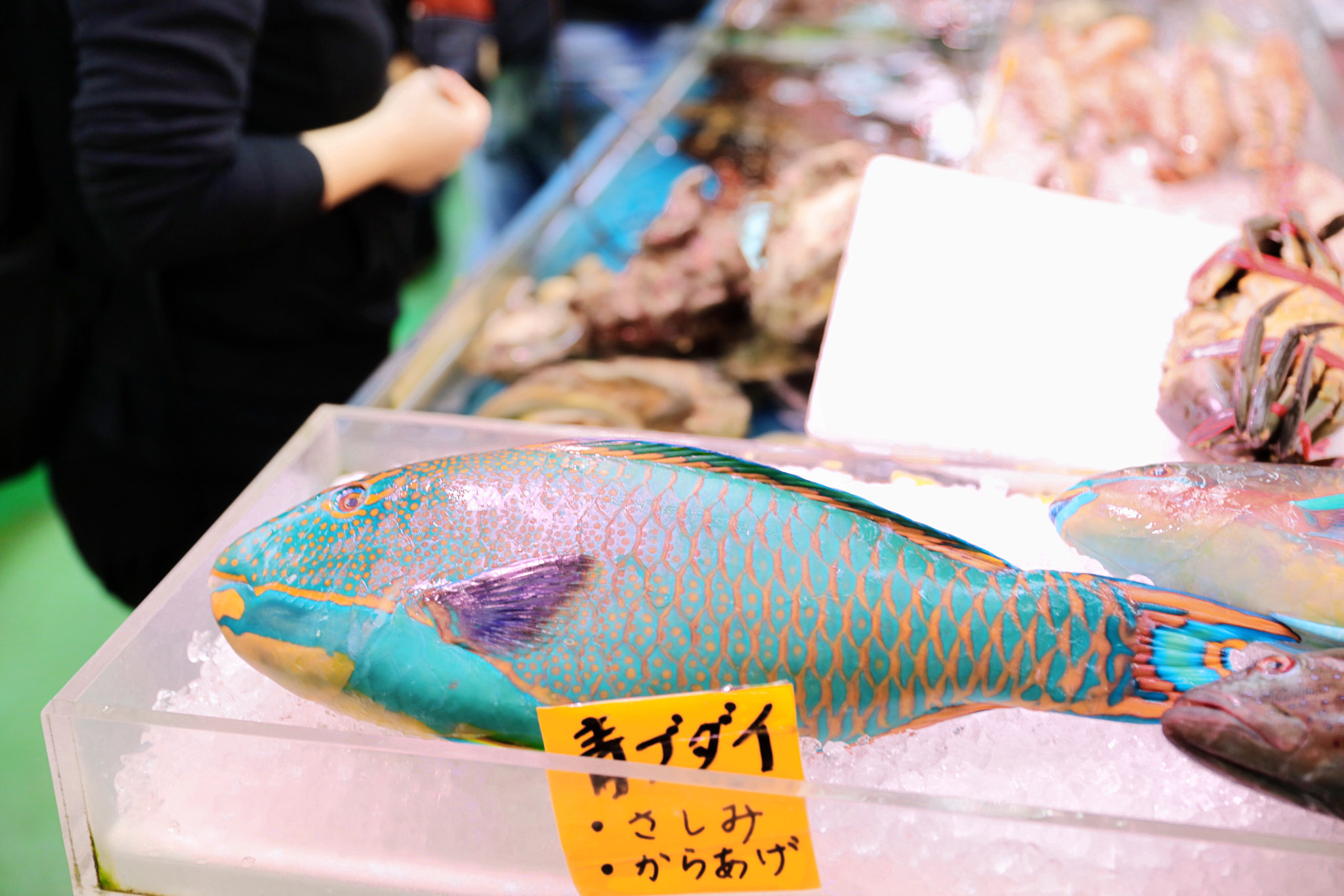 Canon EF 24-70mm F2.8L II USM sample photo