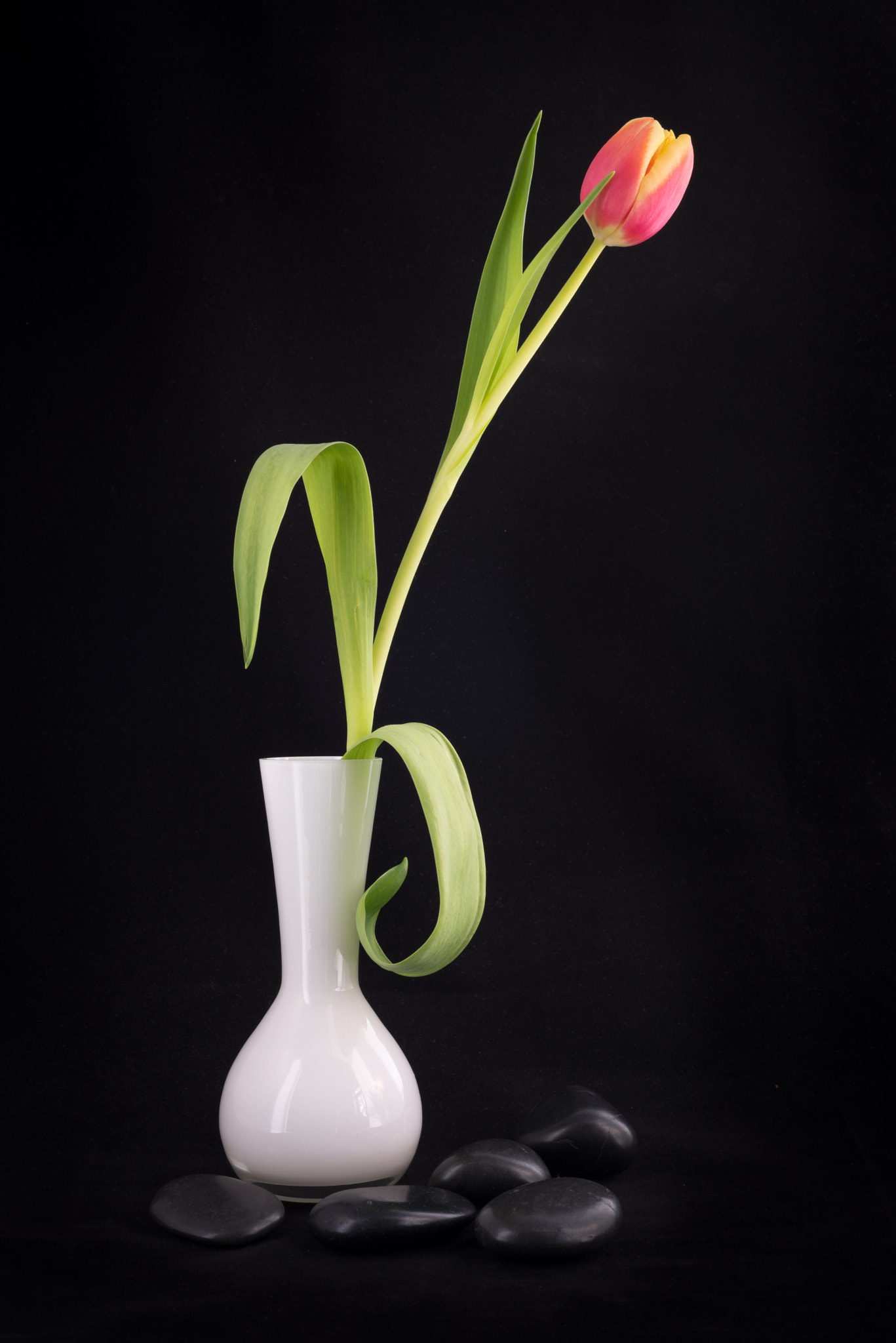 Nikon D610 + Nikon AF Nikkor 50mm F1.4D sample photo. Vase with tulip and black pebbles. photography