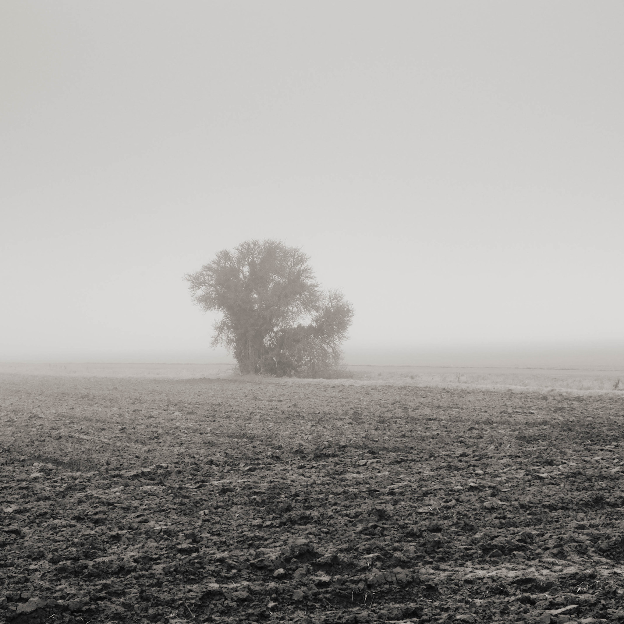 Fujifilm X-M1 + Fujifilm XF 18-55mm F2.8-4 R LM OIS sample photo. Fenland photography