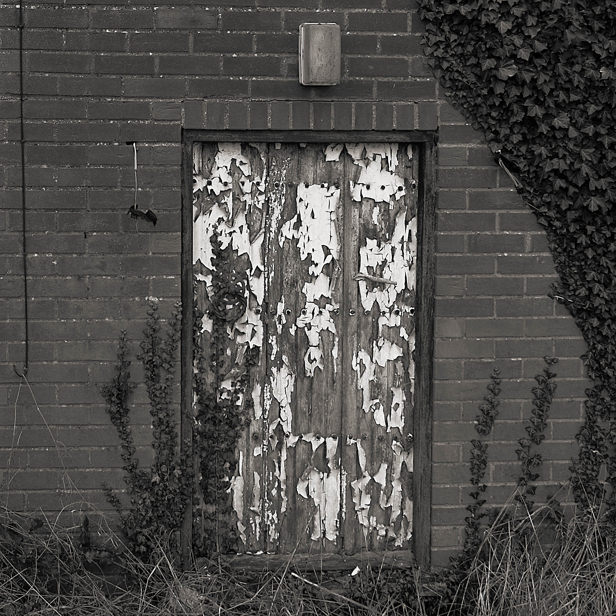 Fujifilm X-M1 + Fujifilm XF 18-55mm F2.8-4 R LM OIS sample photo. Fenland photography