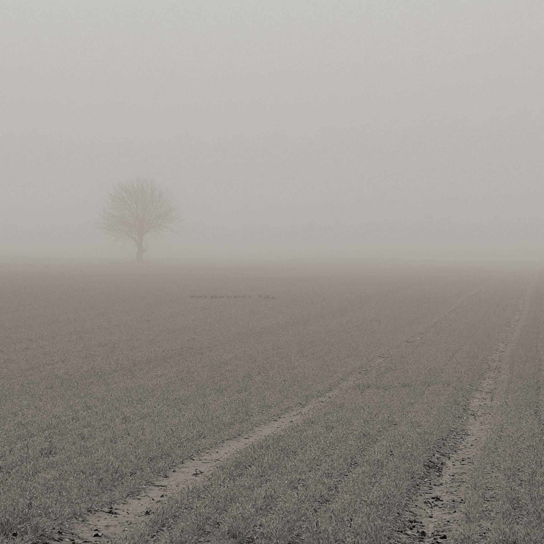 Fujifilm X-M1 + Fujifilm XF 18-55mm F2.8-4 R LM OIS sample photo. Fenland photography