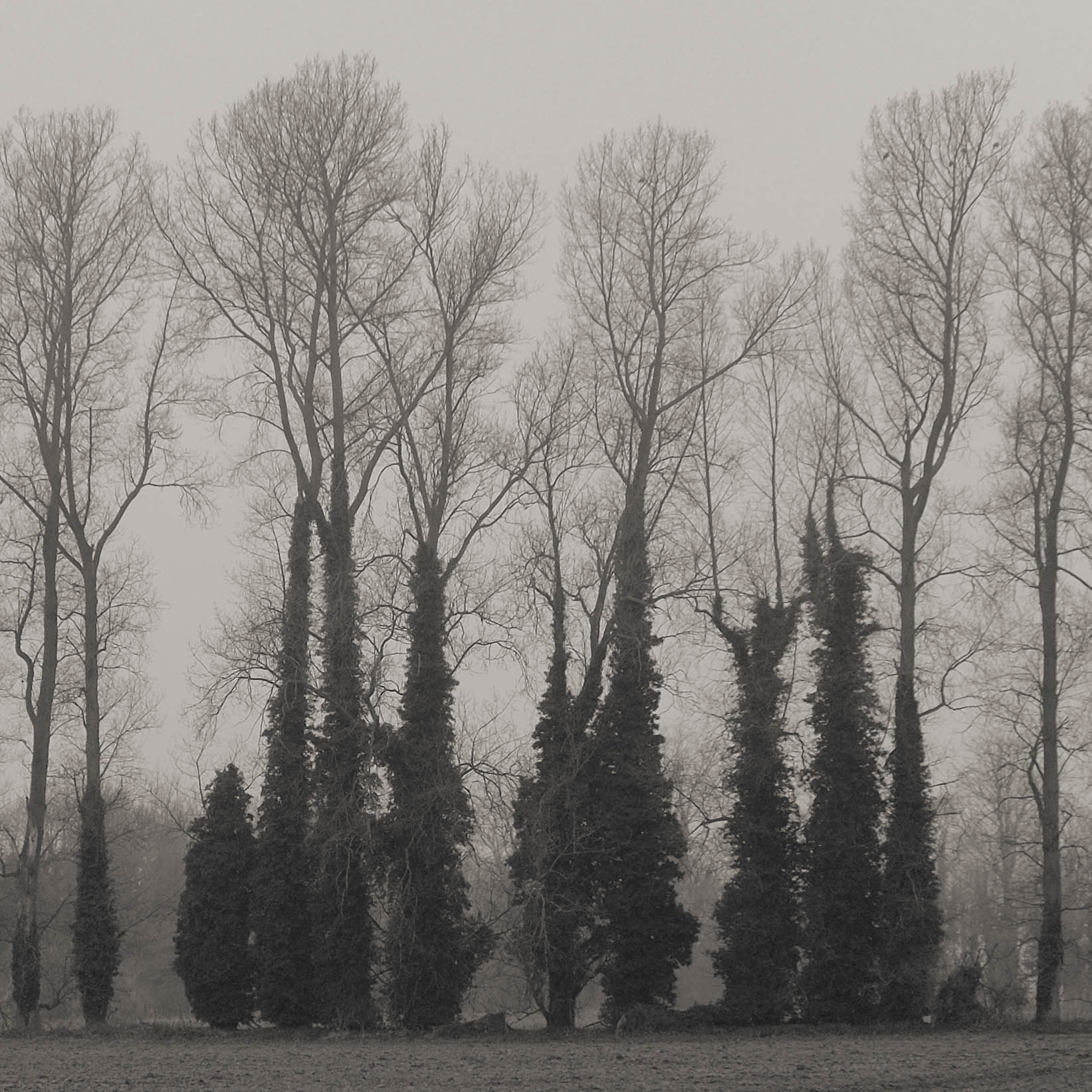 Fujifilm X-M1 + Fujifilm XF 18-55mm F2.8-4 R LM OIS sample photo. Fenland photography