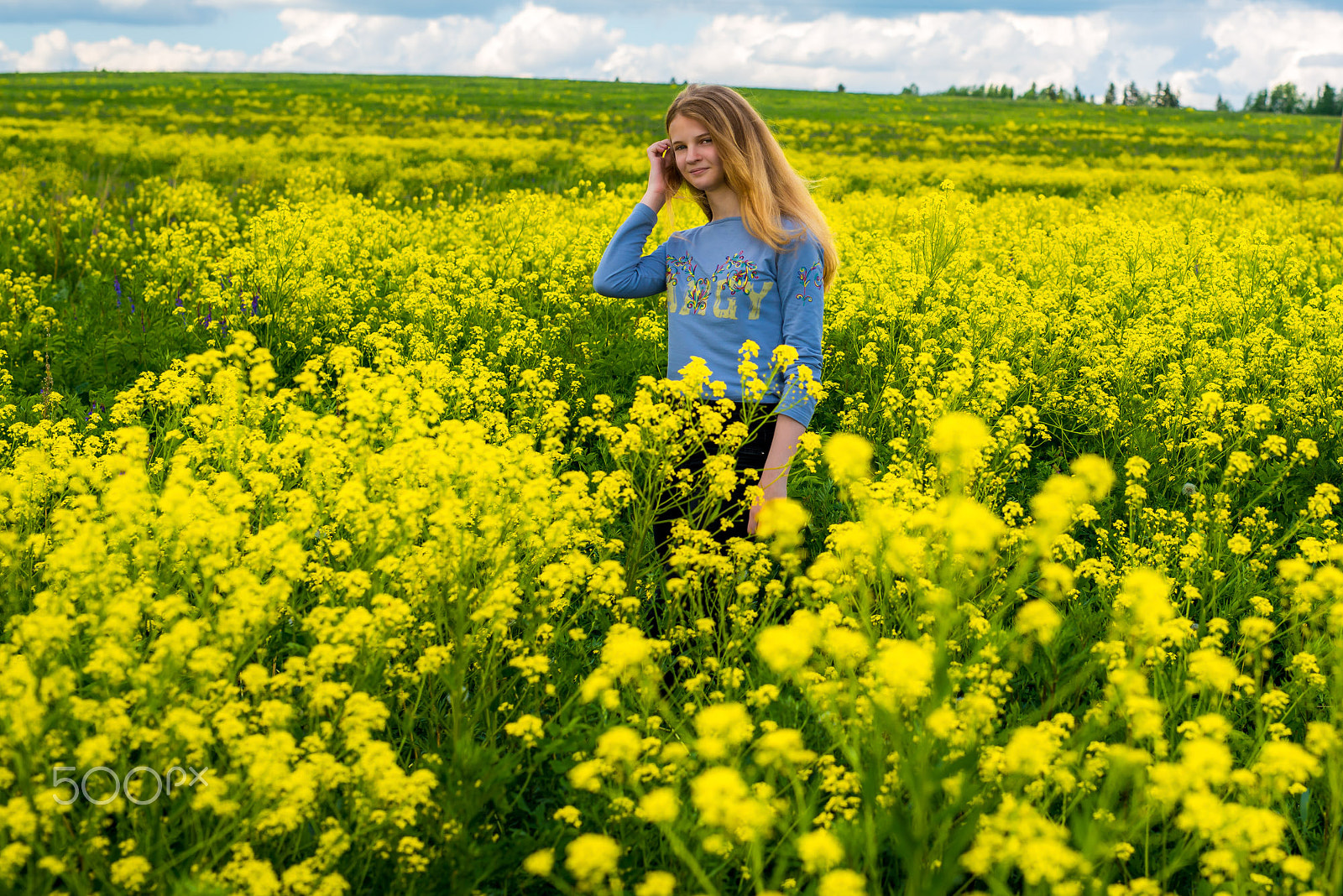 Nikon D800 + Sigma 50mm F1.4 DG HSM Art sample photo. Summer photography