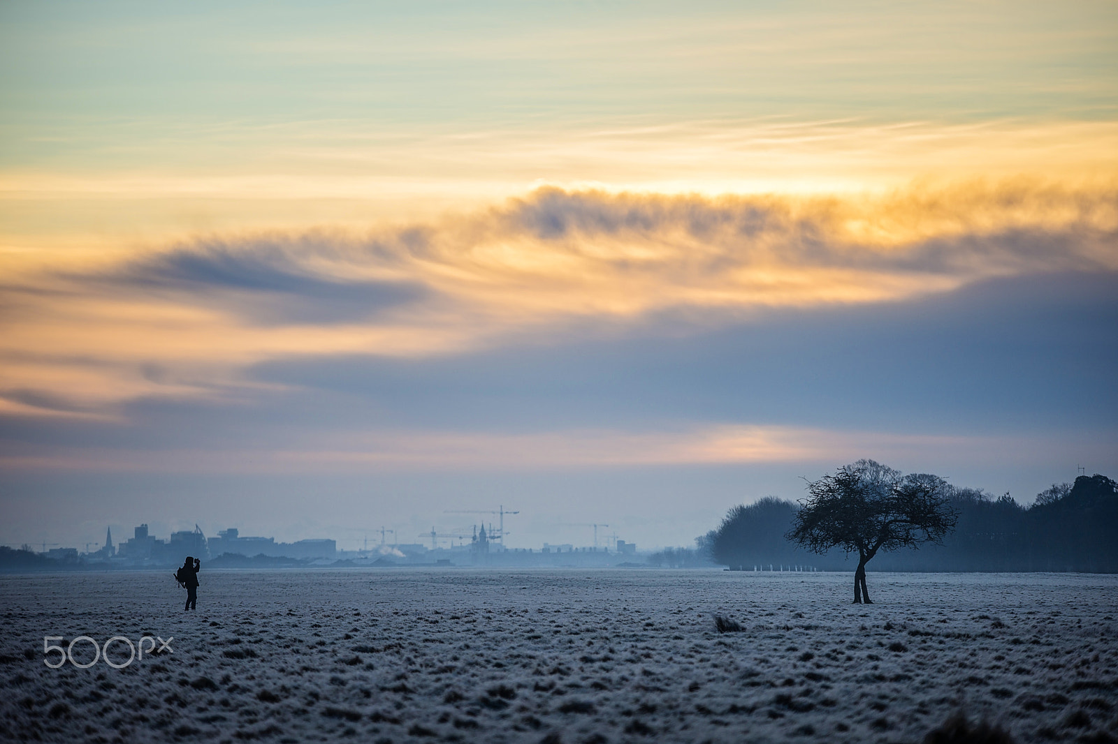 Sony a99 II sample photo. Photographer and a tree photography