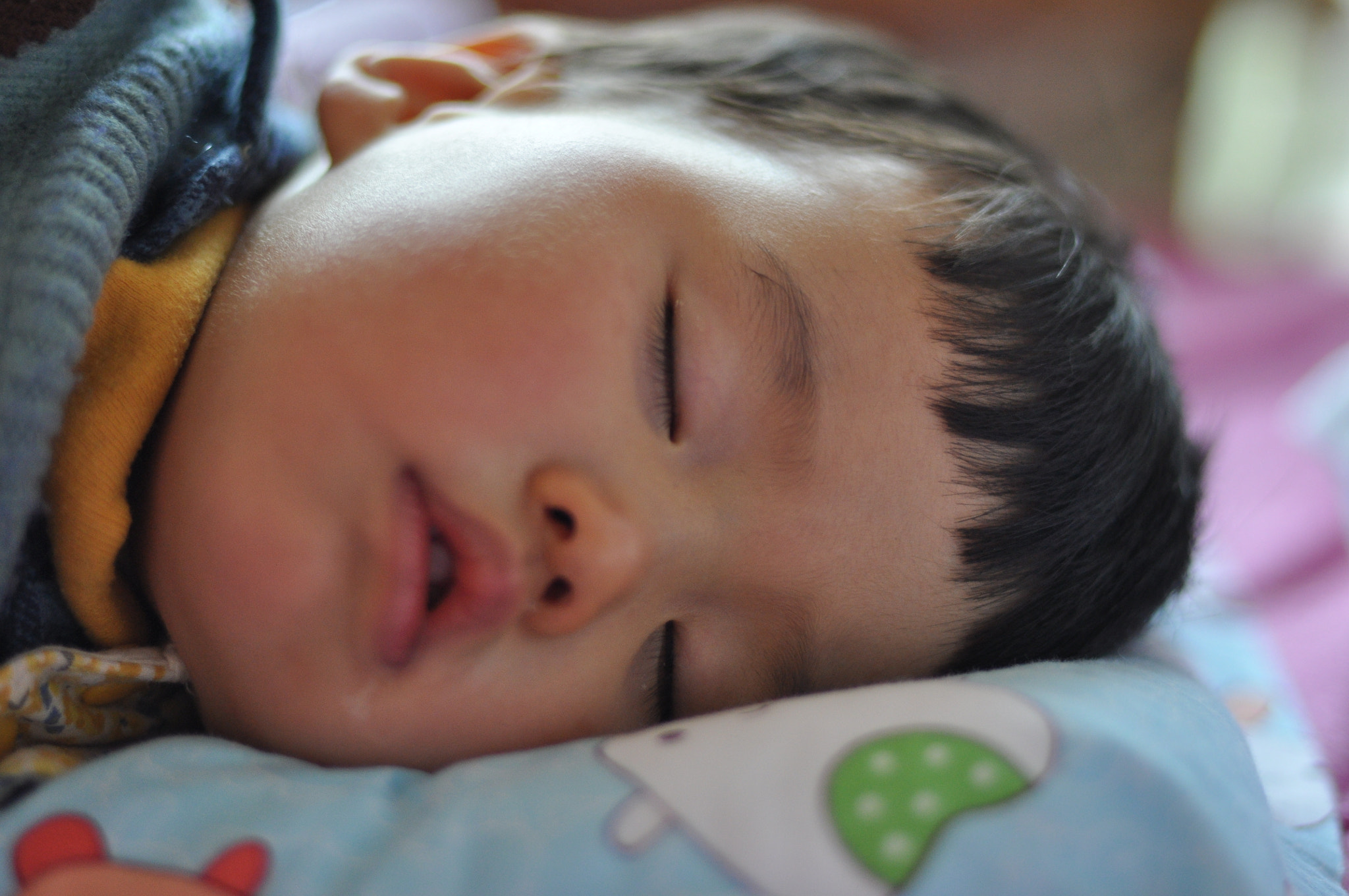Nikon D90 + Nikon AF Nikkor 50mm F1.4D sample photo