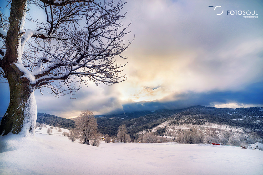 Samyang 14mm F2.8 ED AS IF UMC sample photo. Winter sunrise photography