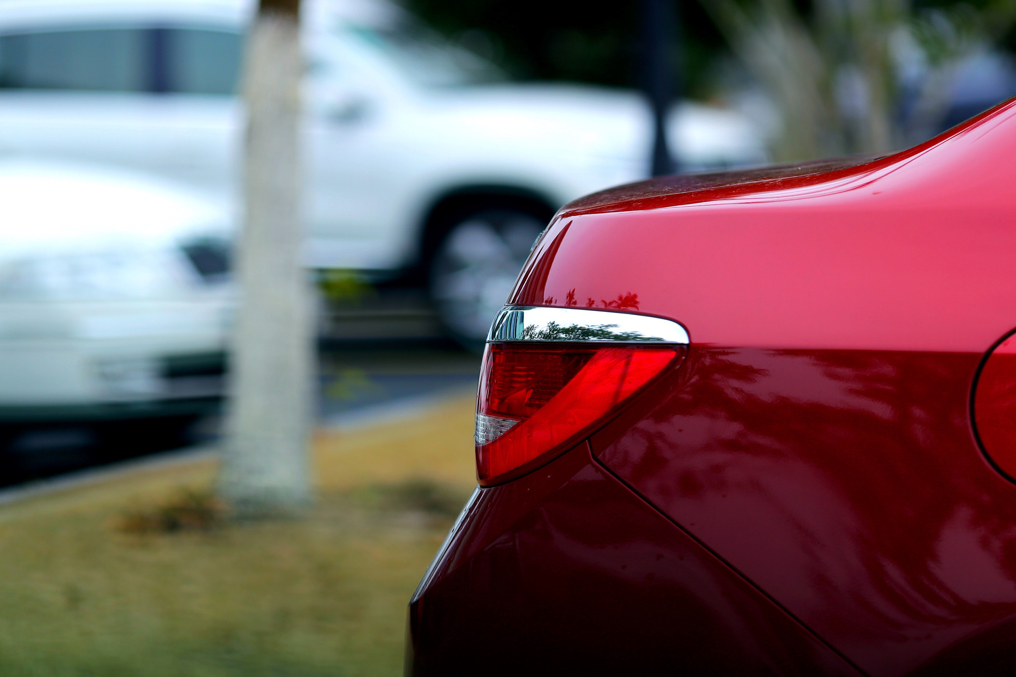 Canon EF 135mm F2L USM sample photo