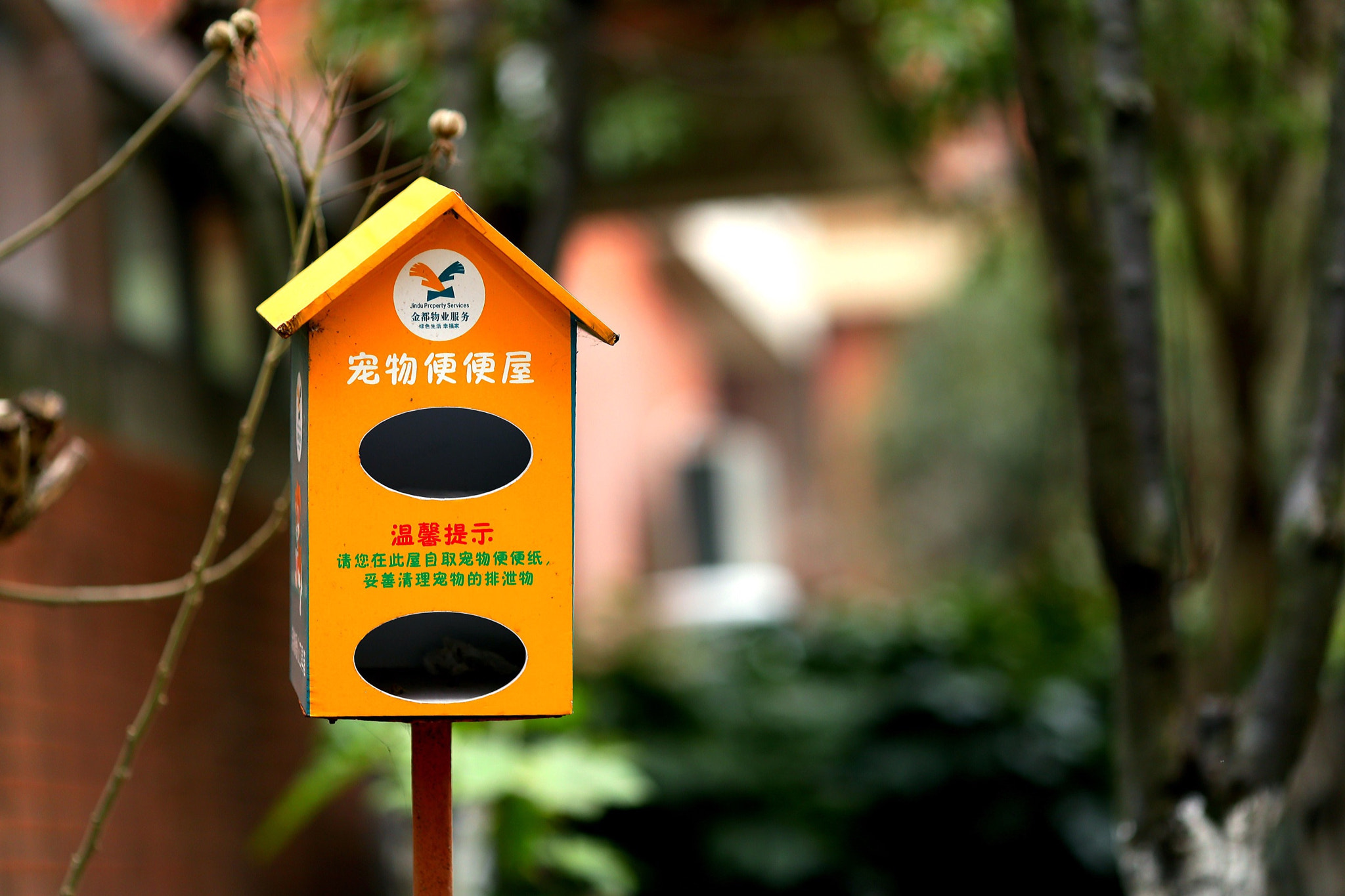 Canon EF 135mm F2L USM sample photo