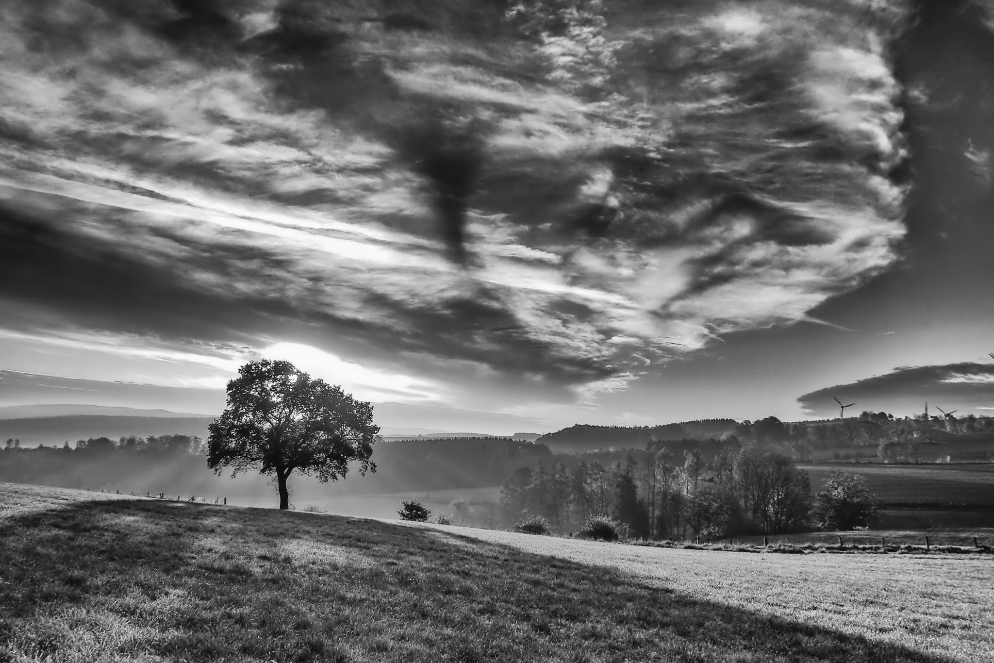CASIO EX-ZR100 sample photo. Lonely tree under the sky photography