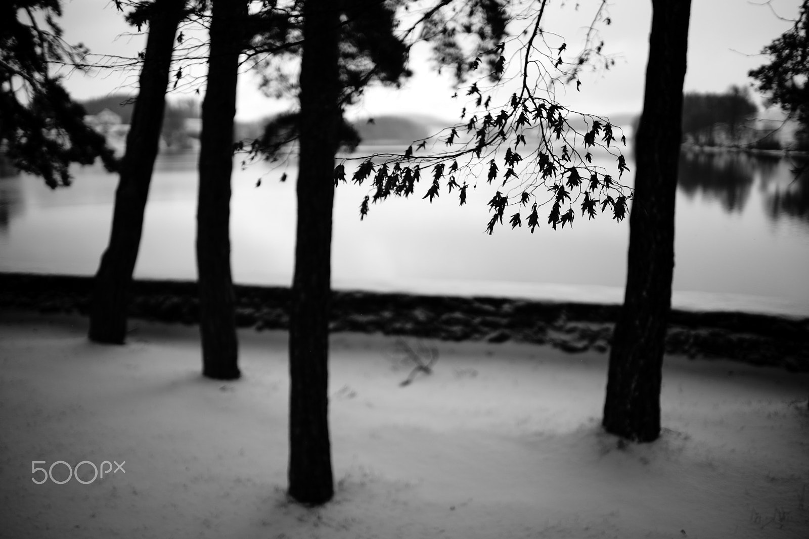 Sony 35mm F1.4 G sample photo. Lac de bret, 13-01-2017 (#1, bw) photography