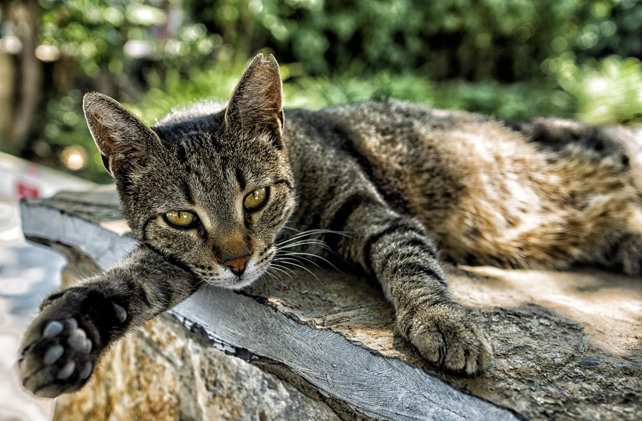 Sony a6300 + Sony Sonnar T* E 24mm F1.8 ZA sample photo. On the verge of sleep #1 photography
