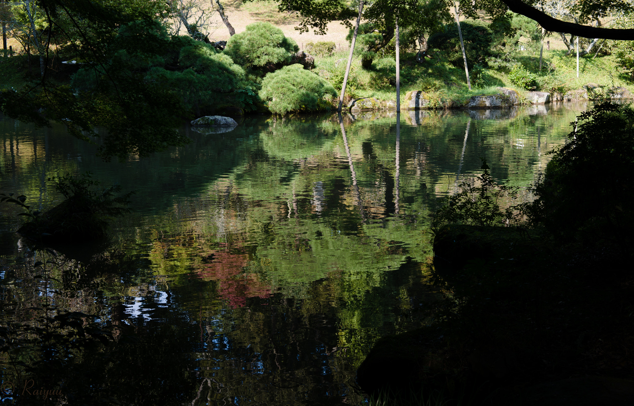 ZEISS Makro-Planar T* 50mm F2 sample photo. Dsc_9924-1.jpg photography