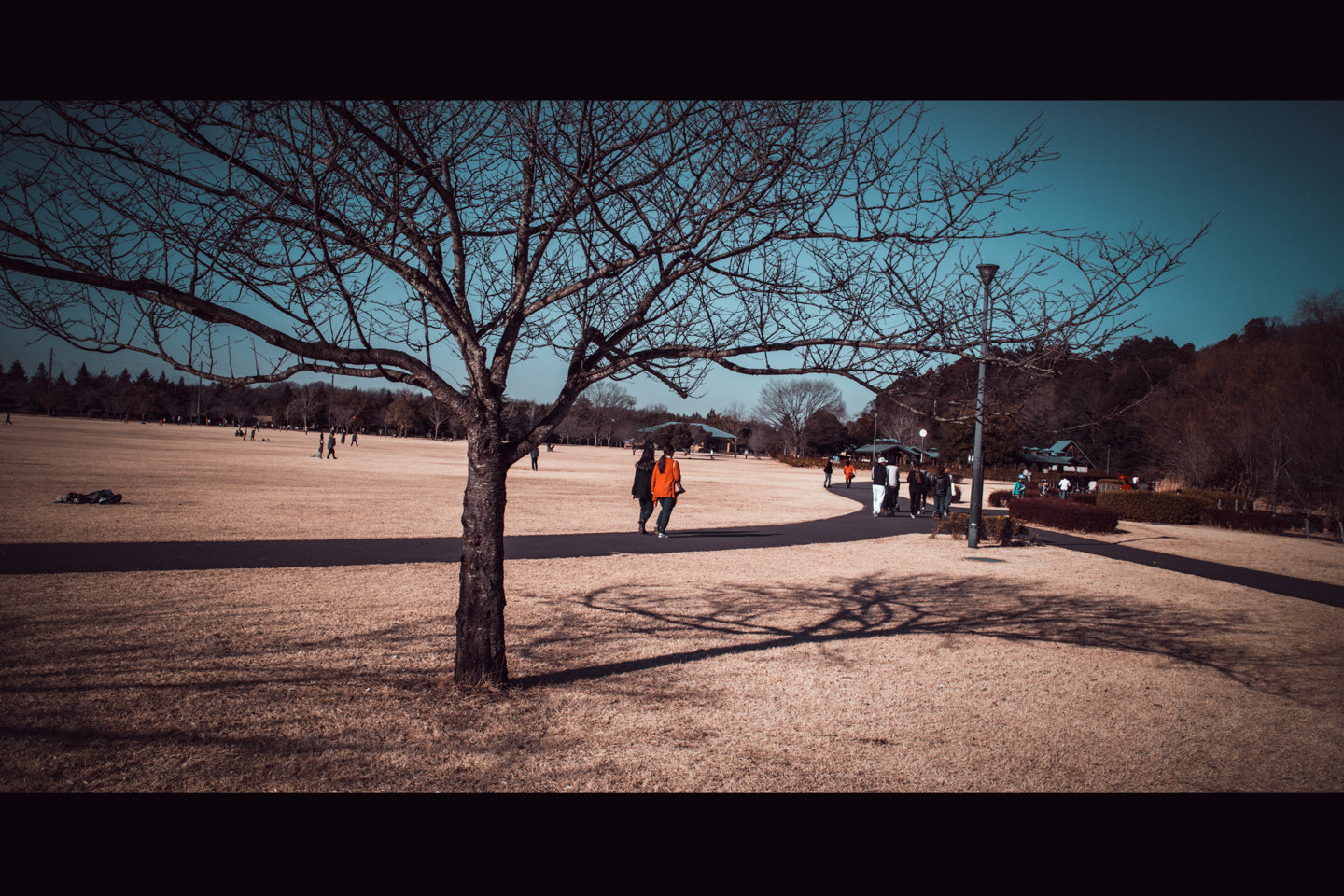 Canon EOS 6D + EF28-70mm f/2.8L USM sample photo. Mg photography