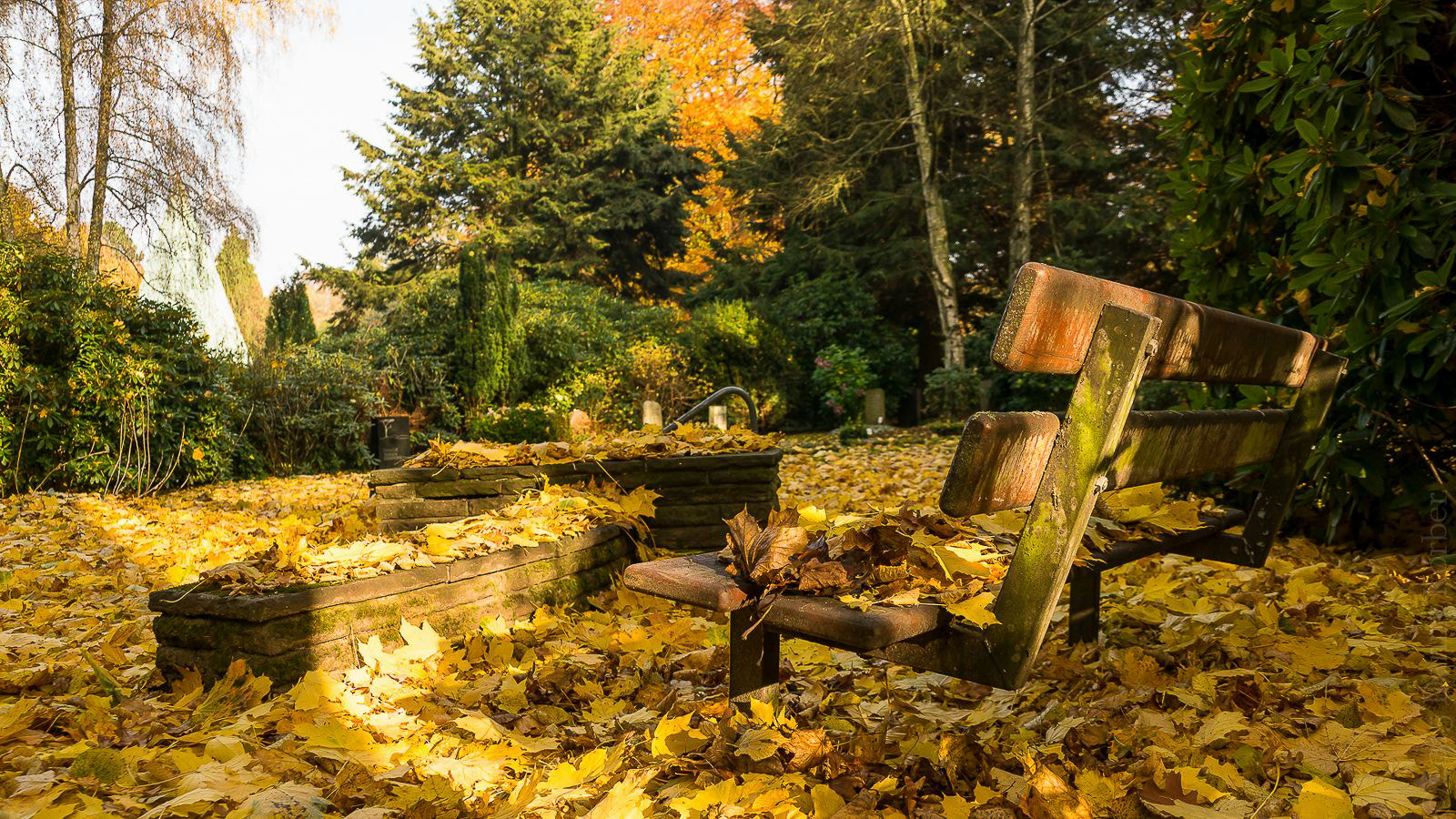 Sony DT 18-135mm F3.5-5.6 SAM sample photo. Autumn i photography