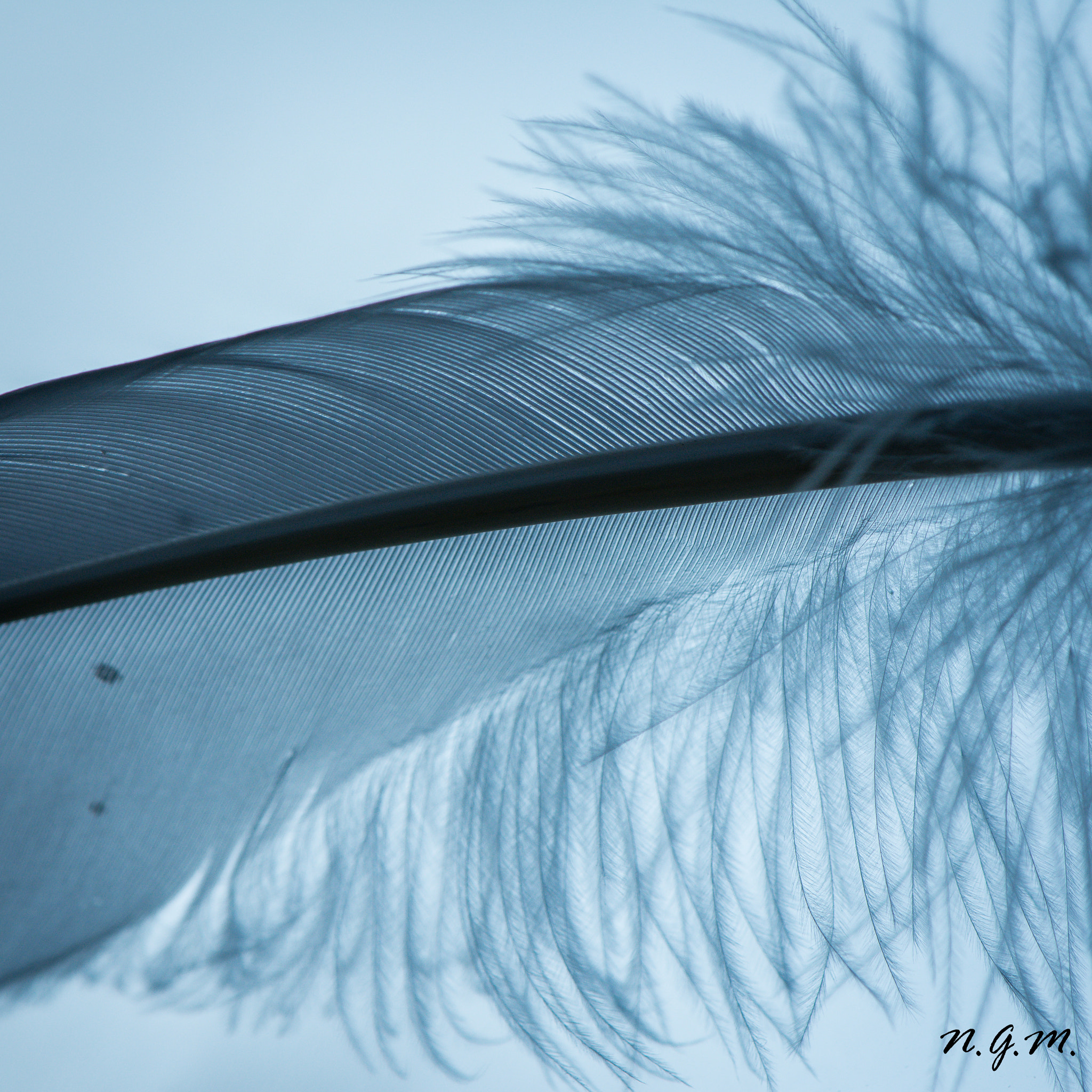 Nikon AF-S DX Micro-Nikkor 85mm F3.5G ED VR sample photo. Le bleu photography