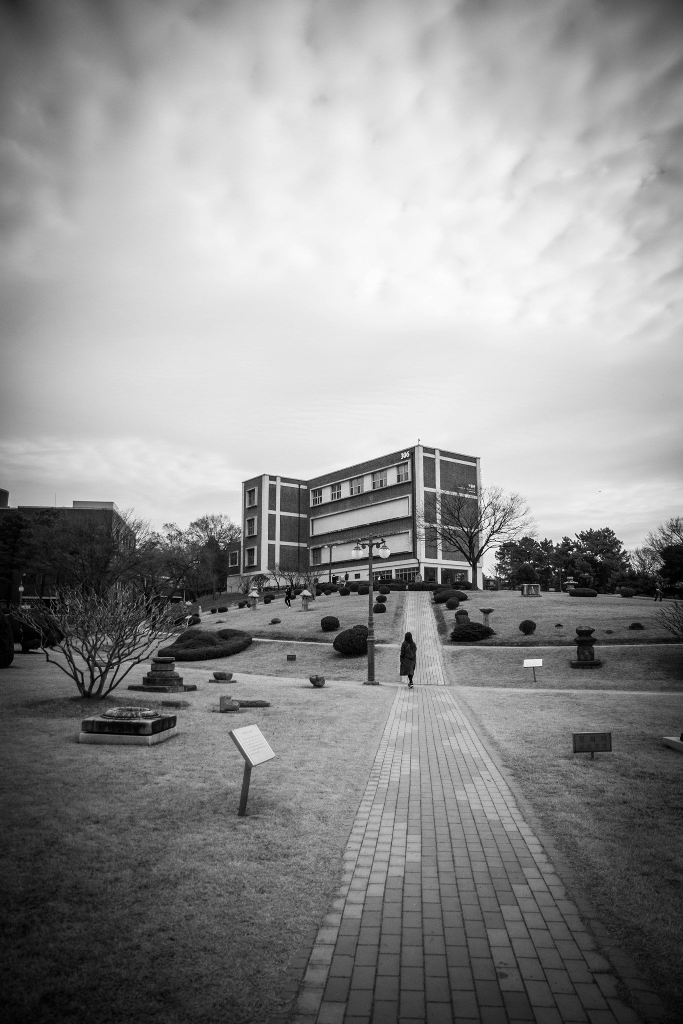 Nikon D500 sample photo. Winter of campus photography