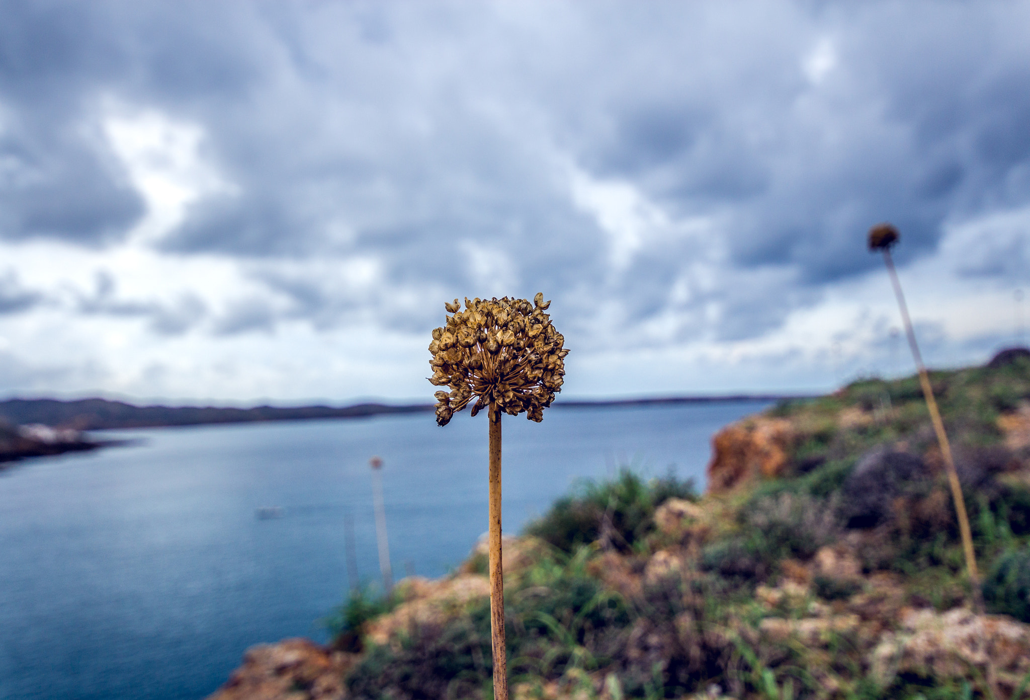 Canon EOS 650D (EOS Rebel T4i / EOS Kiss X6i) + Sigma 10-20mm F4-5.6 EX DC HSM sample photo. Nature of menorca spain photography