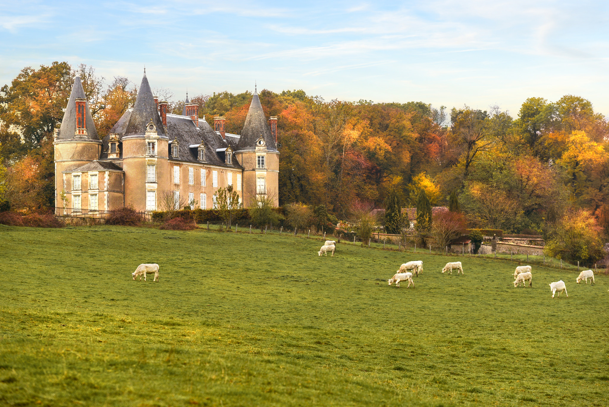 Nikon D750 + Sigma 70-200mm F2.8 EX DG Macro HSM II sample photo. Château du morvan photography