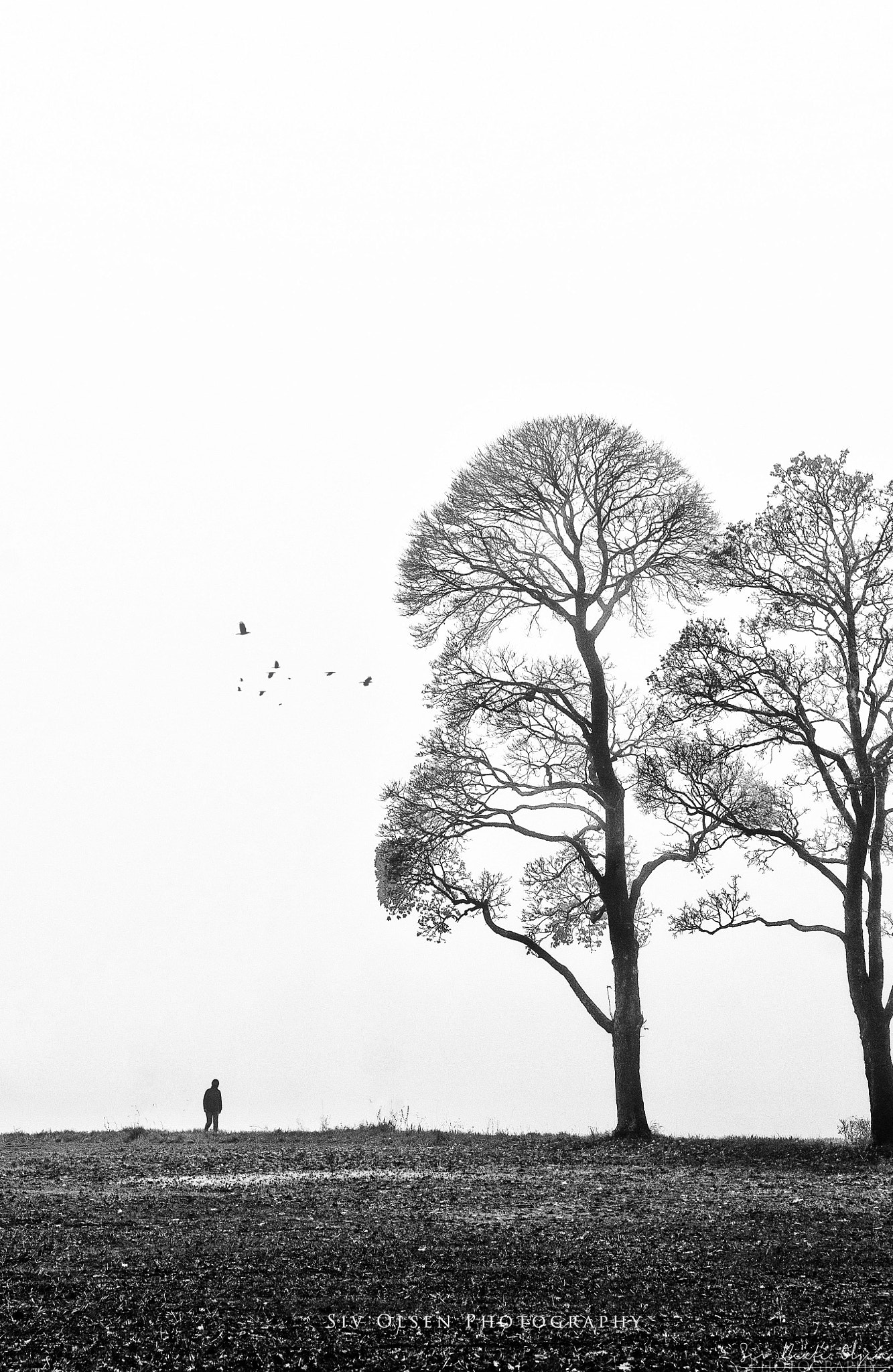 Nikon AF-S Micro-Nikkor 105mm F2.8G IF-ED VR sample photo. ~ a man in the mist ~ photography