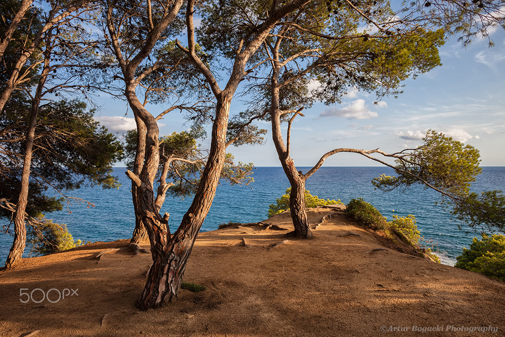 Canon EOS 5D Mark II + Canon EF 24mm F2.8 IS USM sample photo. Cliff top terrace viewpoint at mediterranean sea photography