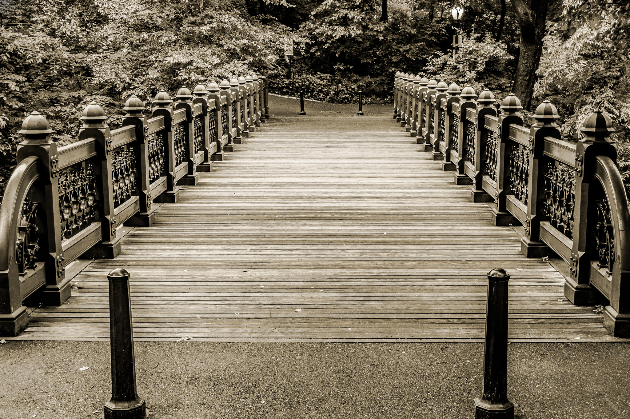 Nikon D3200 sample photo. Walking bridge photography